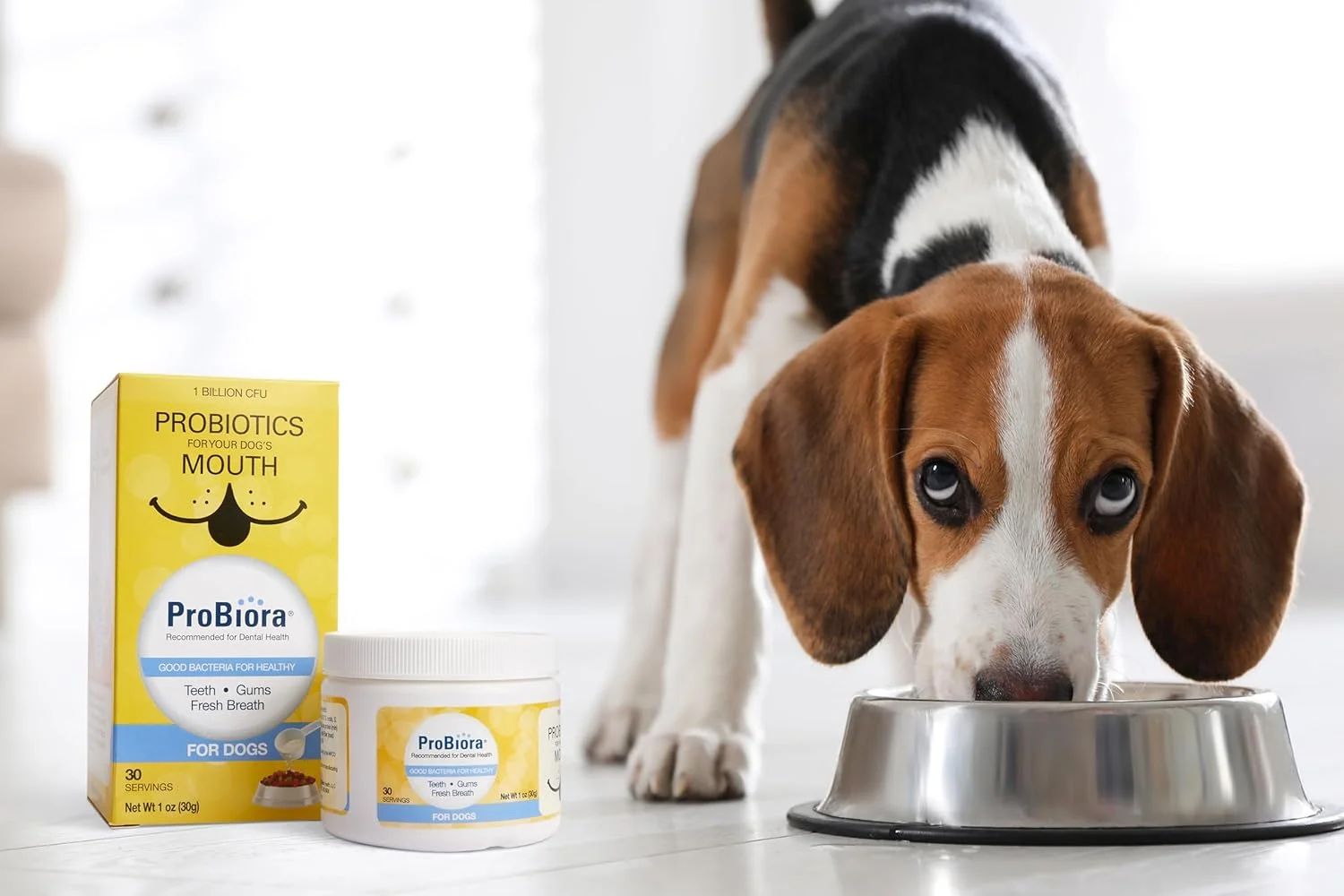 پروبیورا برای سگ ها | مکمل پروبیوتیک سگ برای مراقبت از دهان | پروبیوتیک های حیوانات خانگی برای کاهش بوی بد دهان | مکمل غذایی سگ برای سلامت دندان | 30 سروینگ (شیشه)