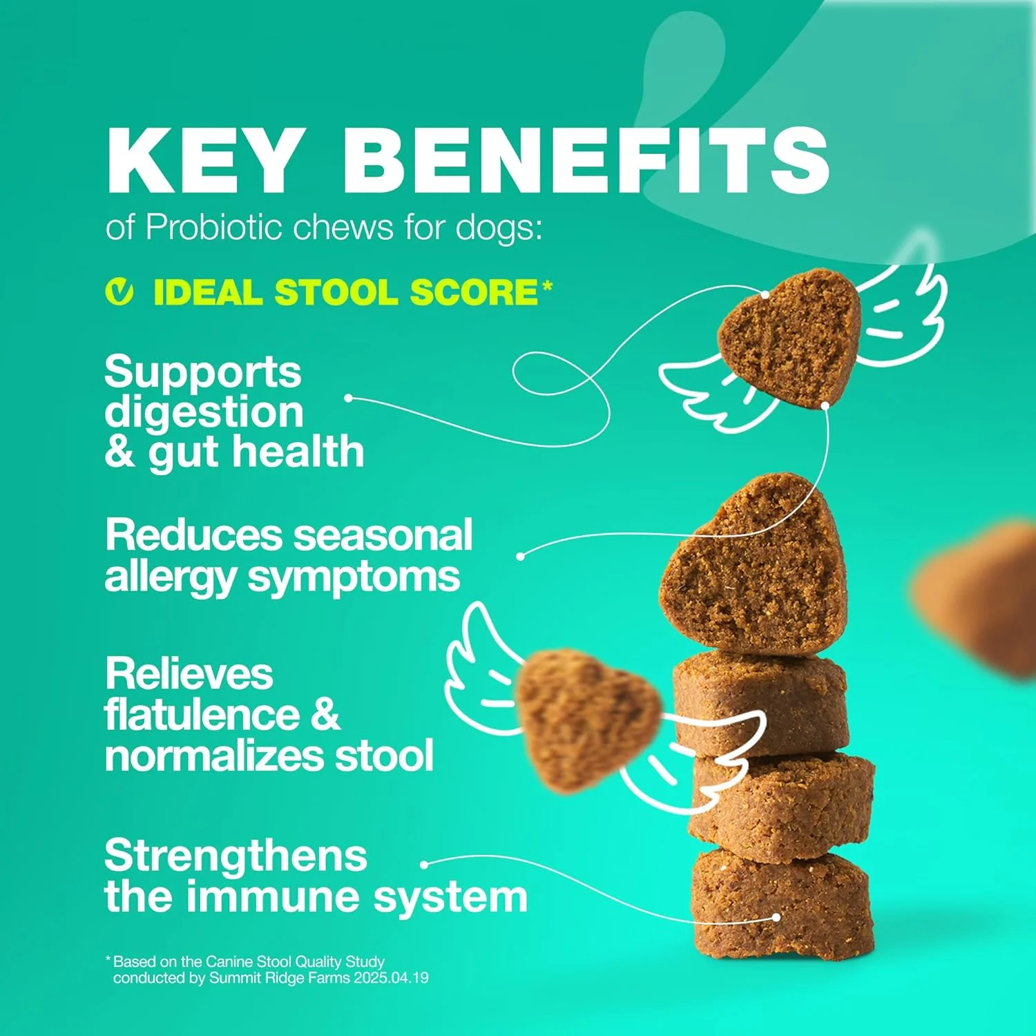 پروبیوتیک برای سلامت روده سگ، هضم، ایمنی، تعادل مخمر، پوست خارش دار، پشتیبانی از آلرژی - جویدنی های پروبیوتیک سگ با آنزیم های گوارشی برای فلور روده - خوراکی های نرم با پودر کدو تنبل و مخمر