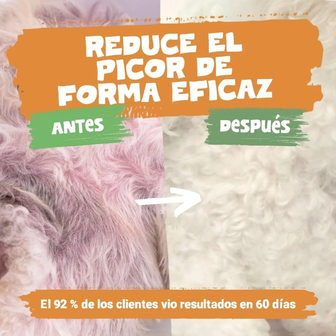 روغن سالمون اسکاتلندی Pets Purest برای سگ، گربه، اسب، راسو و حیوانات خانگی - درجه غذایی خالص و ممتاز - مکمل طبیعی امگا 3، 6 و 9 - تقویت کننده سلامت پوست، مو، مفاصل و مغز (500 میلی لیتر)