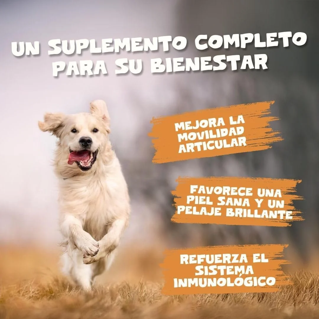 روغن سالمون اسکاتلندی Pets Purest برای سگ، گربه، اسب، راسو و حیوانات خانگی - درجه غذایی خالص و ممتاز - مکمل طبیعی امگا 3، 6 و 9 - تقویت کننده سلامت پوست، مو، مفاصل و مغز (500 میلی لیتر)