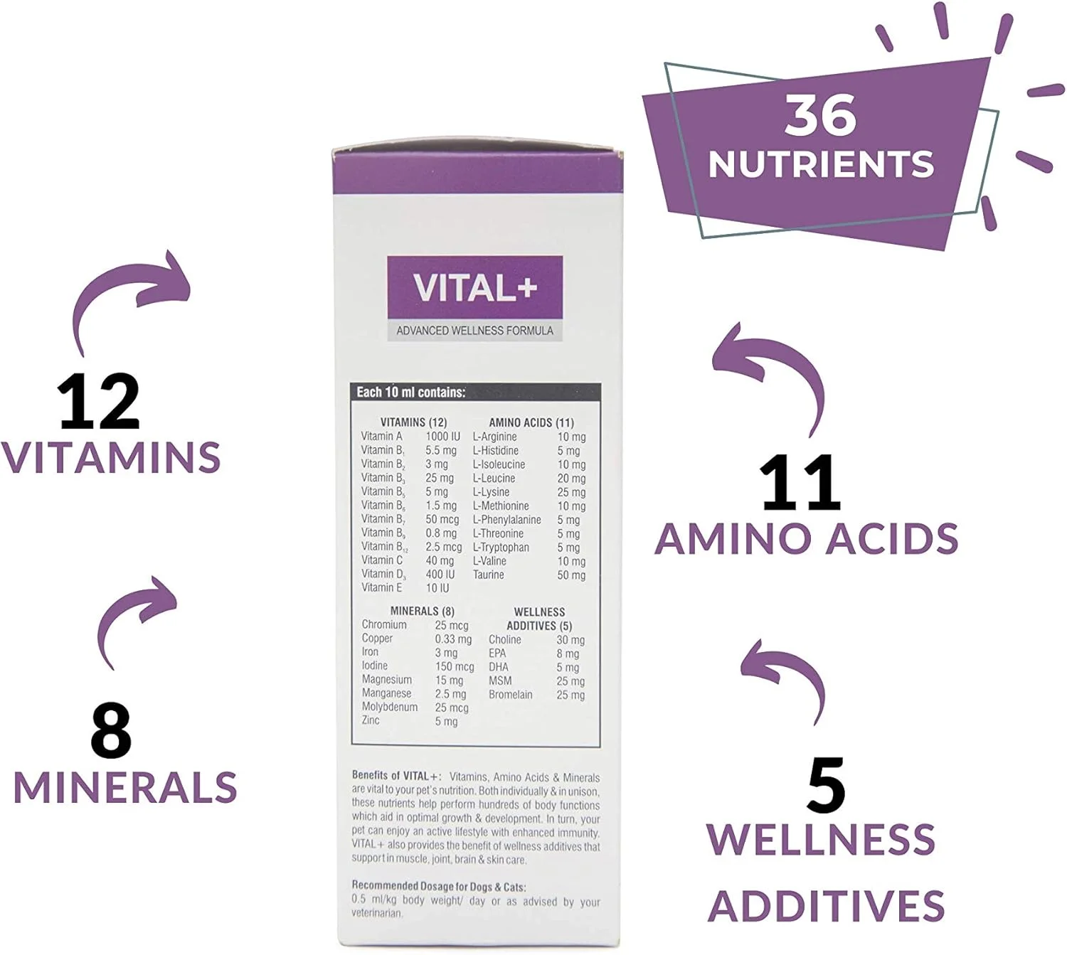 فرمول پیشرفته سلامتی PET360 Vital+ برای سگ ها و گربه ها | شربت مولتی ویتامین برای پوست، مفاصل و ایمنی سالم تر | مکمل غذایی با ویتامین ها و مواد معدنی برای رشد - 200 میلی لیتر (بسته 2 عددی)