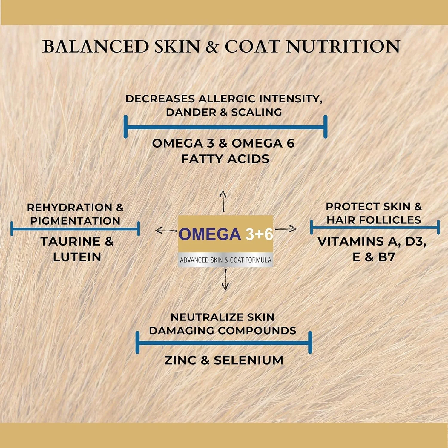 روغن ماهی سالمون امگا 3+6 PET360 برای سگ و گربه به همراه ویتامین ها، مواد معدنی و تورین - 200 میلی لیتر، بسته 2 عددی | پوشش براق تر، کنترل خارش و کاهش آلرژی های پوستی | بهبود سلامت پوست و مو روغن ماهی سالمون امگا 3+6 PET360 برای سگ و گربه به همراه ویتامین ها، مواد معدنی و تورین - 200 میلی لیتر، بسته 2 عددی | پوشش براق تر، کنترل خارش و کاهش آلرژی های پوستی | بهبود سلامت پوست و مو