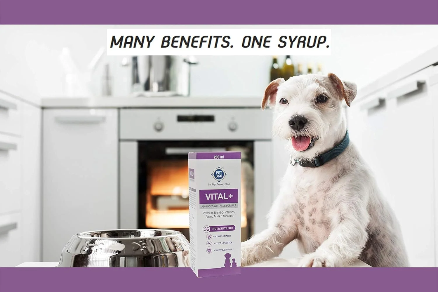 فرمول پیشرفته سلامتی PET360 Vital+ برای سگ ها و گربه ها | شربت مولتی ویتامین برای پوست، مفاصل و ایمنی سالم تر | مکمل غذایی با ویتامین ها و مواد معدنی برای رشد - 200 میلی لیتر (بسته 2 عددی)
