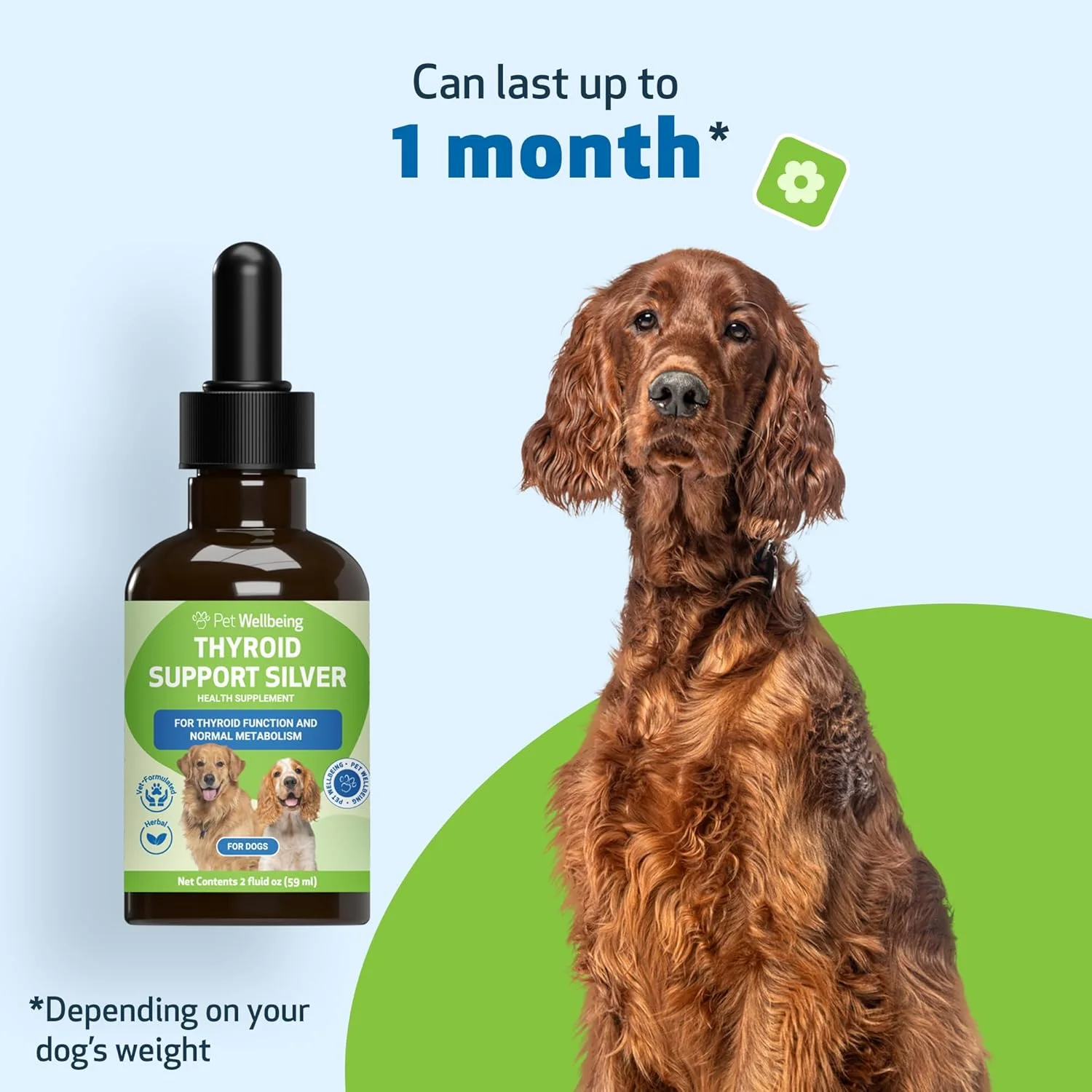 پت ولبینگ - پشتیبانی تیروئید سیلور برای سگ ها - پشتیبانی طبیعی برای سلامت تیروئید - 59 میلی لیتر