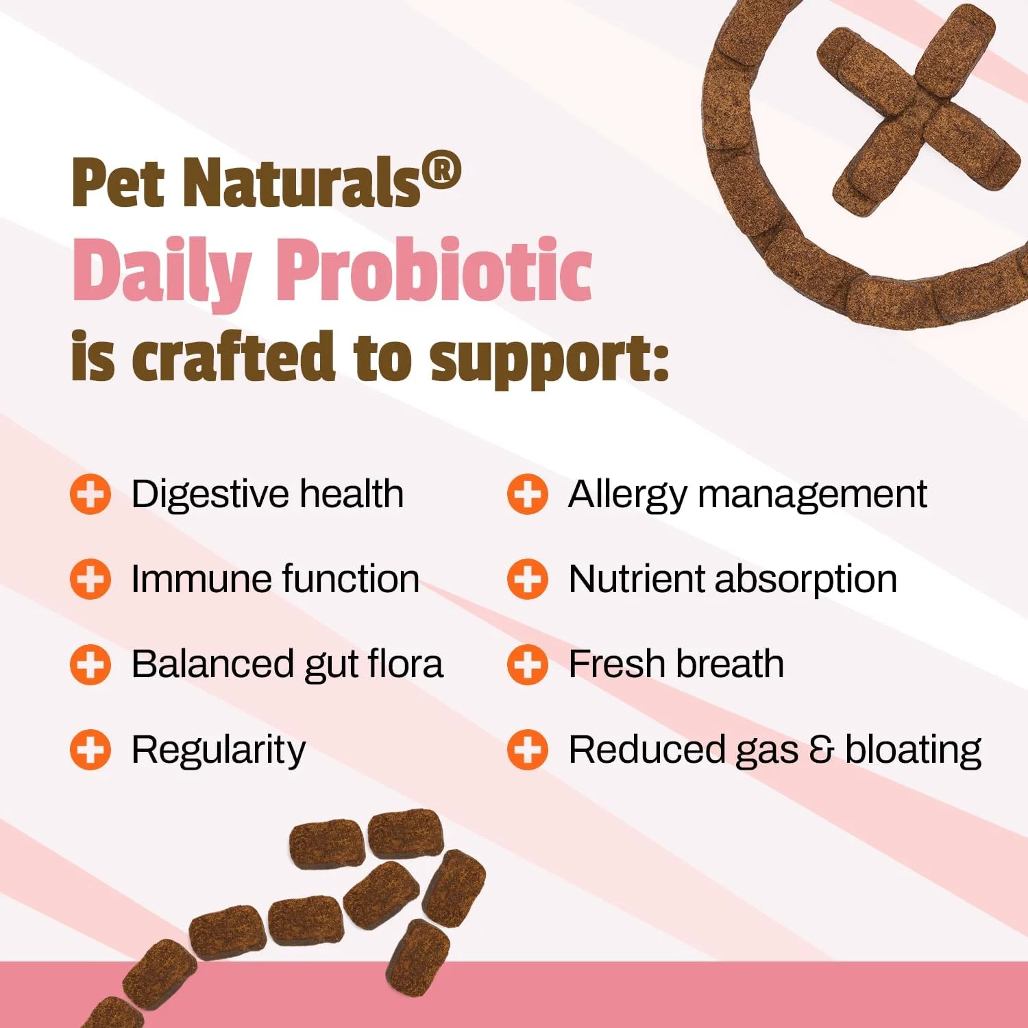 پت نچرالز آو ورمانت - پروبیوتیک روزانه برای سگ ها، مکمل سلامت دستگاه گوارش، 160 عدد جویدنی کوچک، 8.46 اونس (بسته 1 عددی)