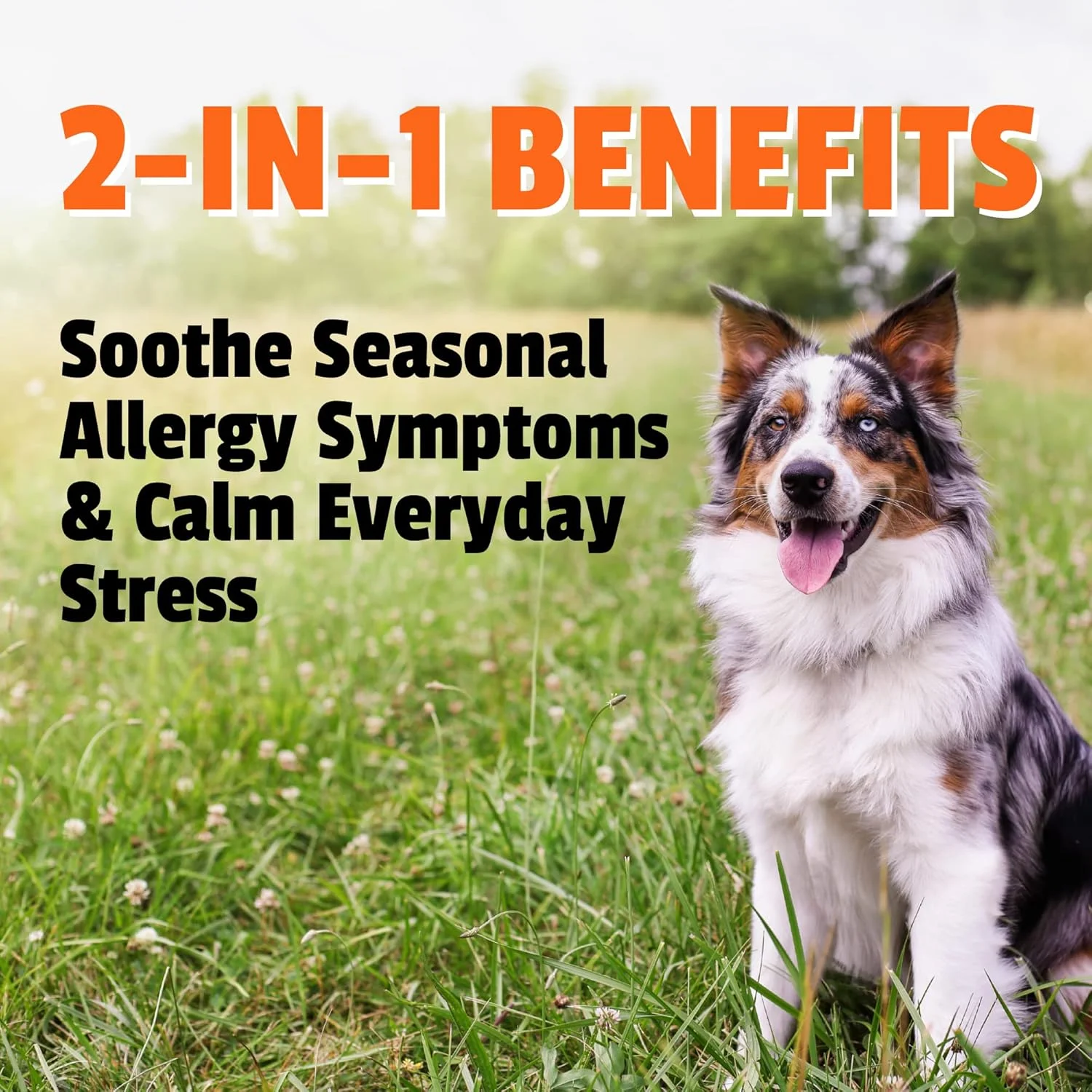 مکمل آرام‌بخش و ضد آلرژی سگ پت نچرالز، طعم اردک، 60 عدد