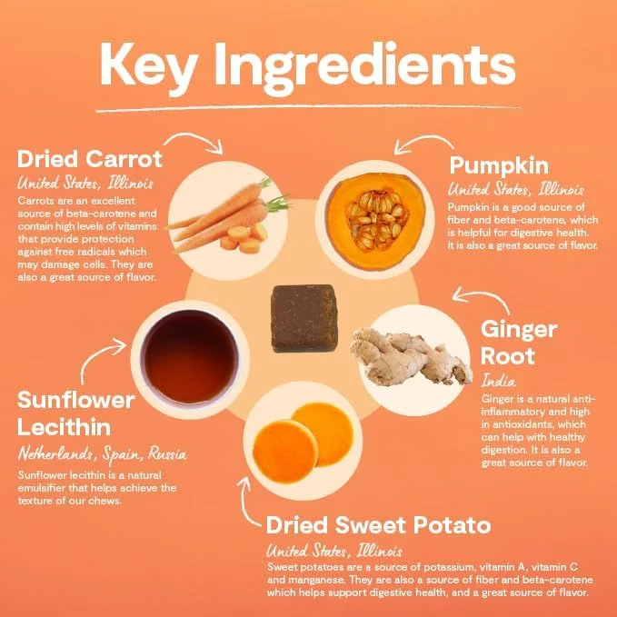 مکمل پروبیوتیک جویدنی سگ اوپن فارم - 360 گرم