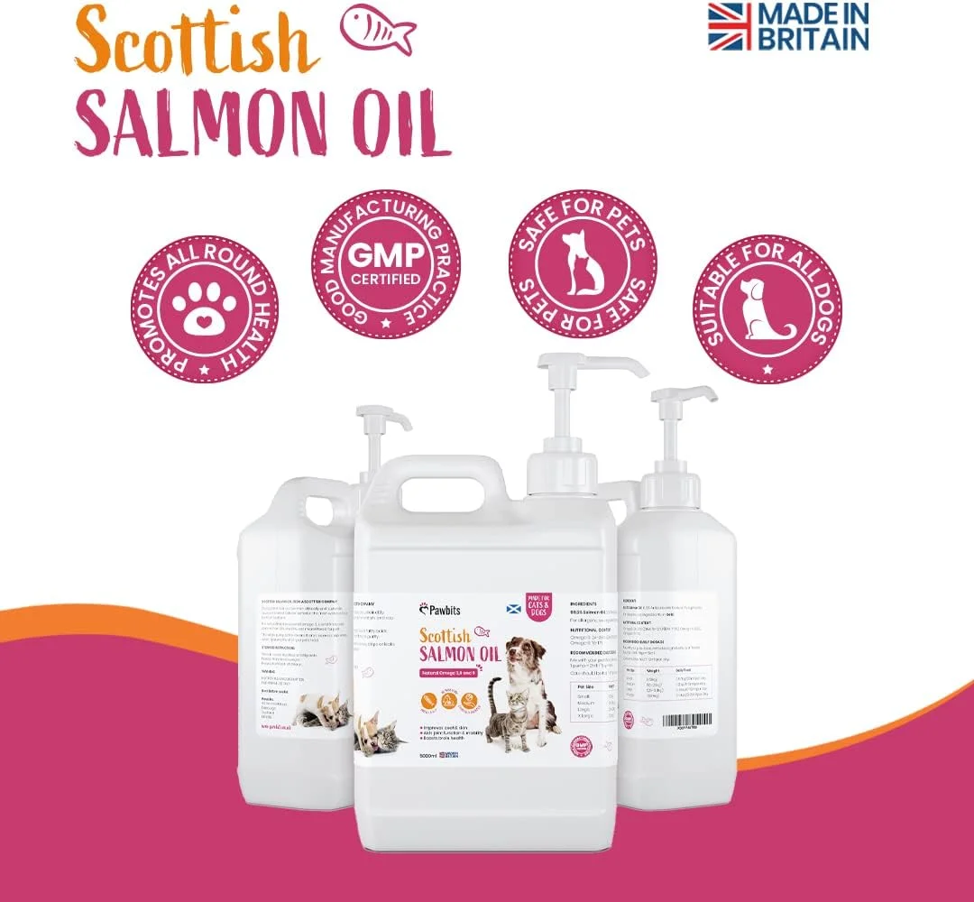 روغن سالمون اسکاتلندی 5 لیتری Pawbits برای گربه ها، سگ ها و حیوانات خانگی - امگا 3+6+9 طبیعی، پوشش سالم و سیستم ایمنی، ساخت بریتانیا، مناسب برای اسب ها و راسوها. روغن سالمون اسکاتلندی 5 لیتری Pawbits برای گربه ها، سگ ها و حیوانات خانگی - امگا 3+6+9 طبیعی، پوشش سالم و سیستم ایمنی، ساخت بریتانیا، مناسب برای اسب ها و راسوها.