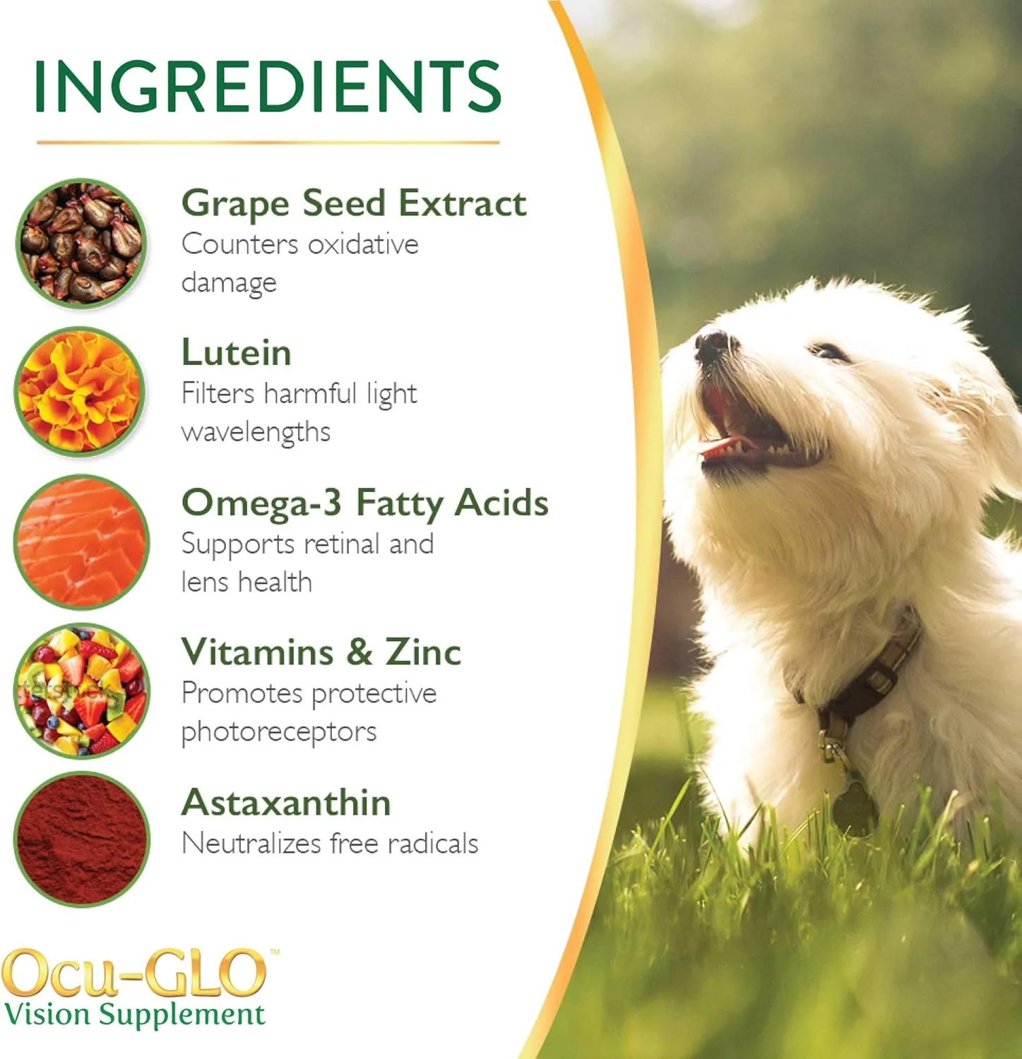 مکمل بینایی Ocu-GLO PB برای سگ های متوسط و بزرگ - پودر مخلوط آسان برای مصرف با لوتئین، اسیدهای چرب امگا 3، عصاره دانه انگور و آنتی اکسیدان ها برای ارتقاء سلامت چشم، 90 عدد کپسول پودری