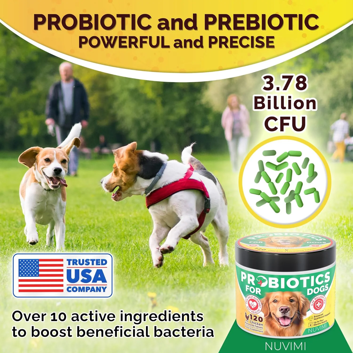 پروبیوتیک سگ NUVIMI، 120 قرص پروبیوتیک و پری بیوتیک با طعم مرغ، تقویت سیستم ایمنی و پشتیبانی از هضم برای ناراحتی معده، مدفوع شل و نفخ، 1 تا 4 ماه