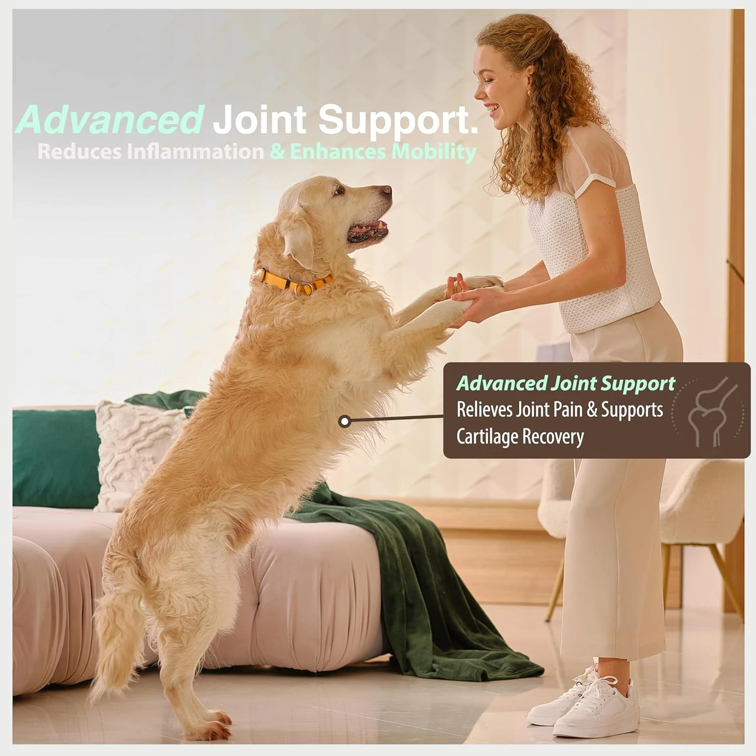 روغن امگا گلد O2 PETS - روغن ماهی سالمون نروژی صید وحشی برای سگ و گربه، روغن ماهی امگا 3 برای تشویقی و افزودنی غذای حیوانات خانگی، پشتیبانی عالی از مفاصل (500 میلی لیتر)