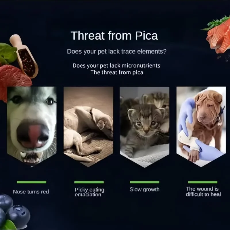 180 عدد قرص پروبیوتیک تغذیه فعال برای گربه ها و سگ ها برای بهبود سلامت دستگاه گوارش حیوانات خانگی مبتلا به اسهال و مشکلات هضم (قرص مولتی ویتامین)