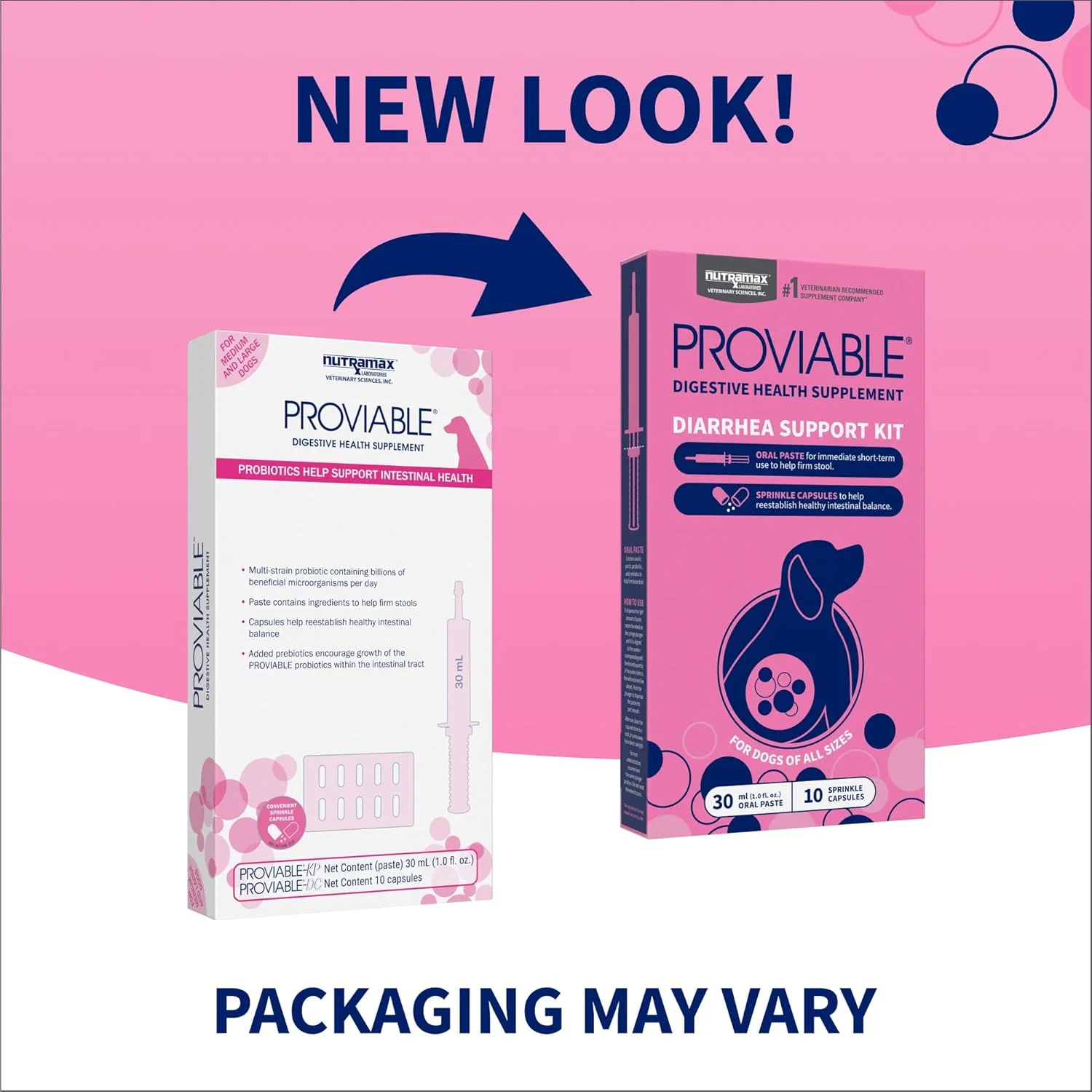 کیت مکمل سلامت گوارش Proviable Laboratories Nutramax با پروبیوتیک ها و پری بیوتیک های چند سویه برای سگ های متوسط ​​تا بزرگ - با 7 سویه باکتری، 30 میلی لیتر خمیر و 10 کپسول