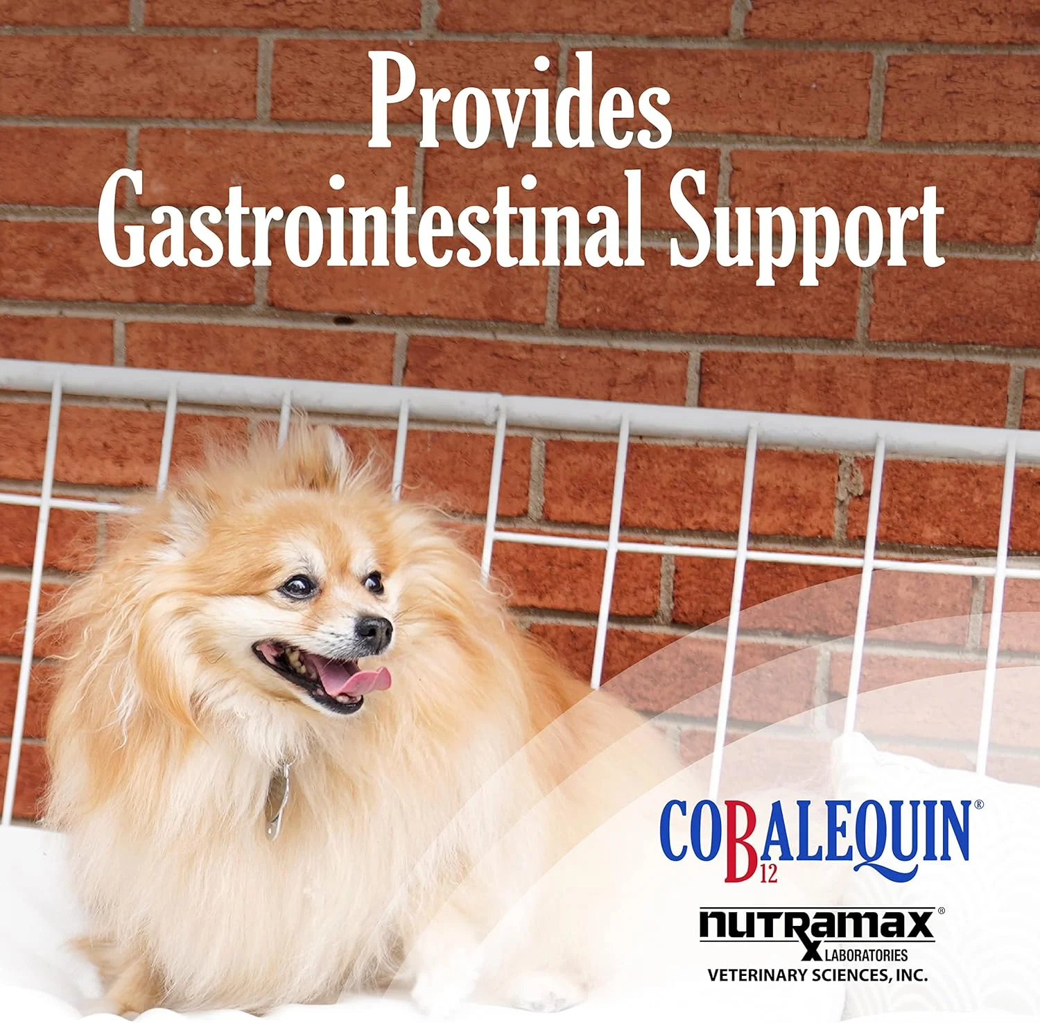 Nutramax Laboratories Cobalequin B12 Supplement for Cats and Small Dogs, 45 Count (Pack of 1)