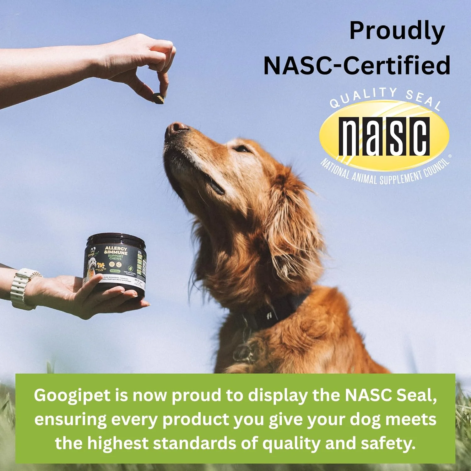 مولتی ویتامین سگ 10 در 1 پریمیوم Googipet، جویدنی با پروبیوتیک برای سلامت روده، ویتامین ها و مکمل های سگ با ویتامین C و گلوکزامین برای حمایت از مفاصل (طعم مرغ و سبزیجات)