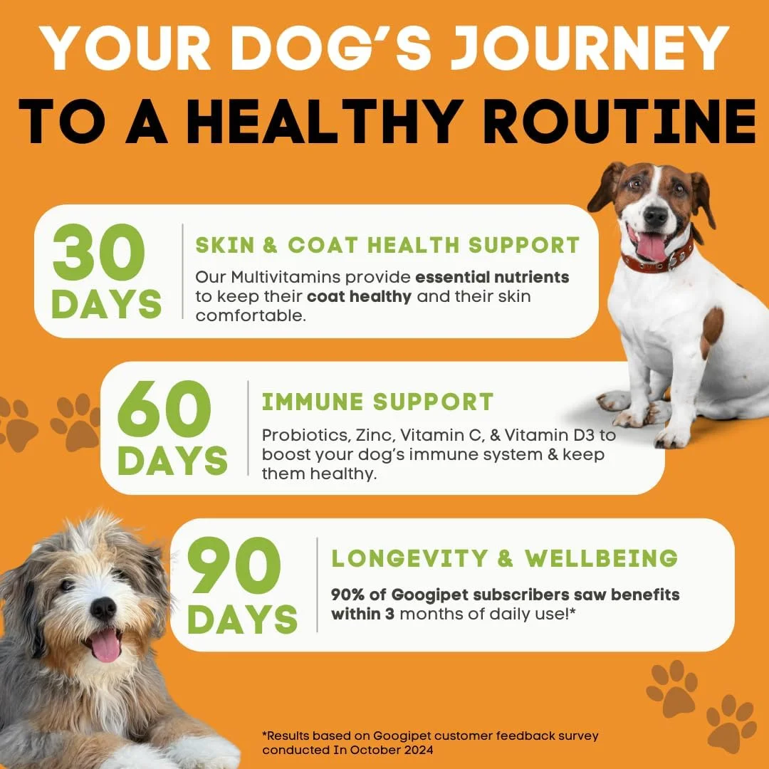 مولتی ویتامین سگ 10 در 1 پریمیوم Googipet، جویدنی با پروبیوتیک برای سلامت روده، ویتامین ها و مکمل های سگ با ویتامین C و گلوکزامین برای حمایت از مفاصل (طعم مرغ و سبزیجات)