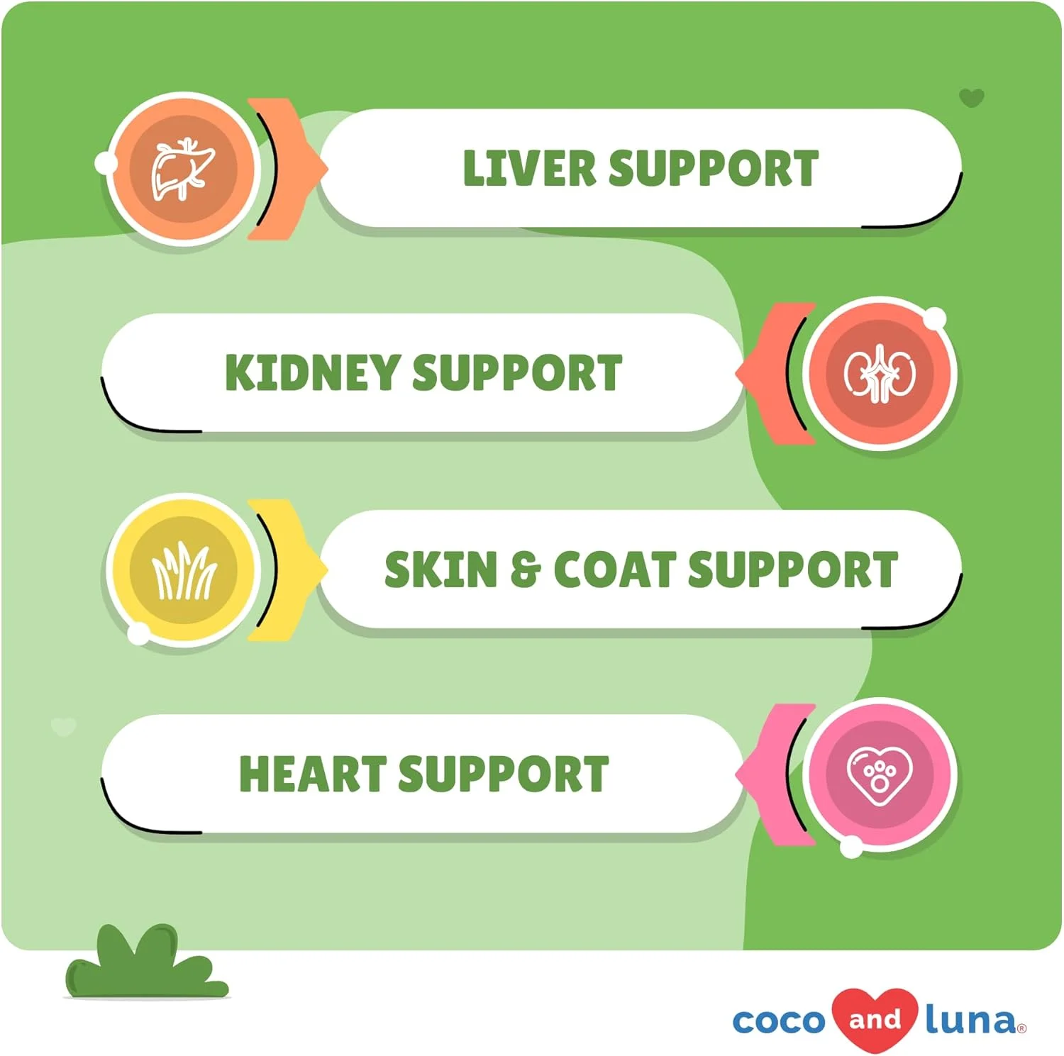 خار مریم برای سگ ها - 120 قرص جویدنی - سیلیمارین - پشتیبانی از کبد و کلیه با EPA و DHA - سم زدایی - مکمل کبد برای سگ ها با کولین و ال-آرژنین