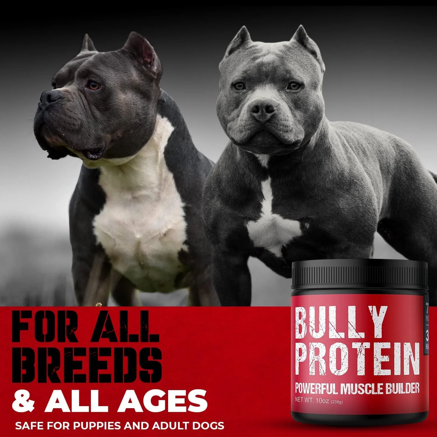 مکمل عضله ساز MBF SUPPLEMENTS Bully | پودر پروتئین سگ | افزایش دهنده وزن برای نژادهای Bully، پیتبول، فرنچ بولداگ و غیره | 283 گرم 60 سروینگ برای 30 روز