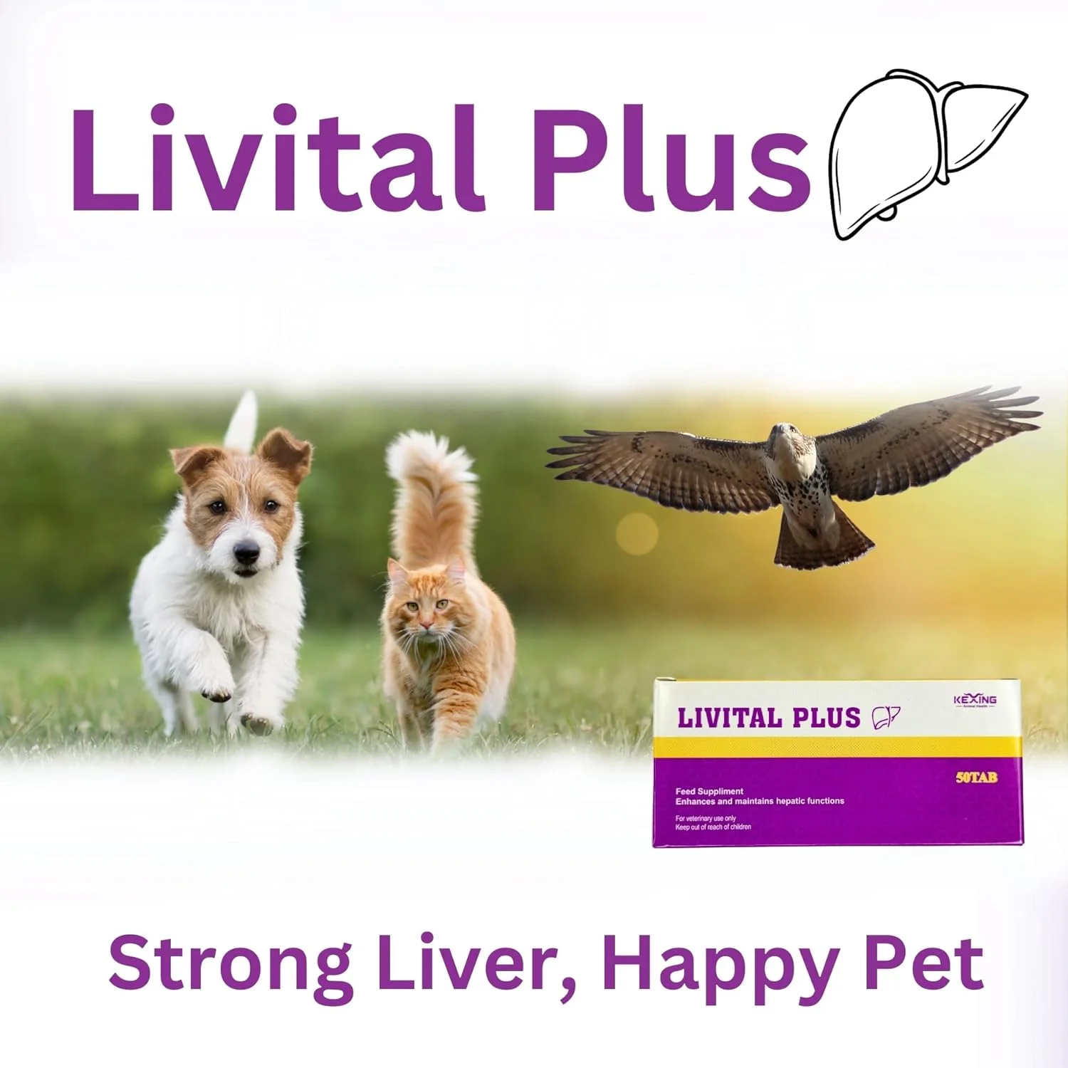 Liver Support Supplement – 50 Tablets for Dogs, Cats & Birds, Enhances Hepatic Function, Aids Detoxification, Improves Digestion, Supports Liver Health, Promotes Metabolism