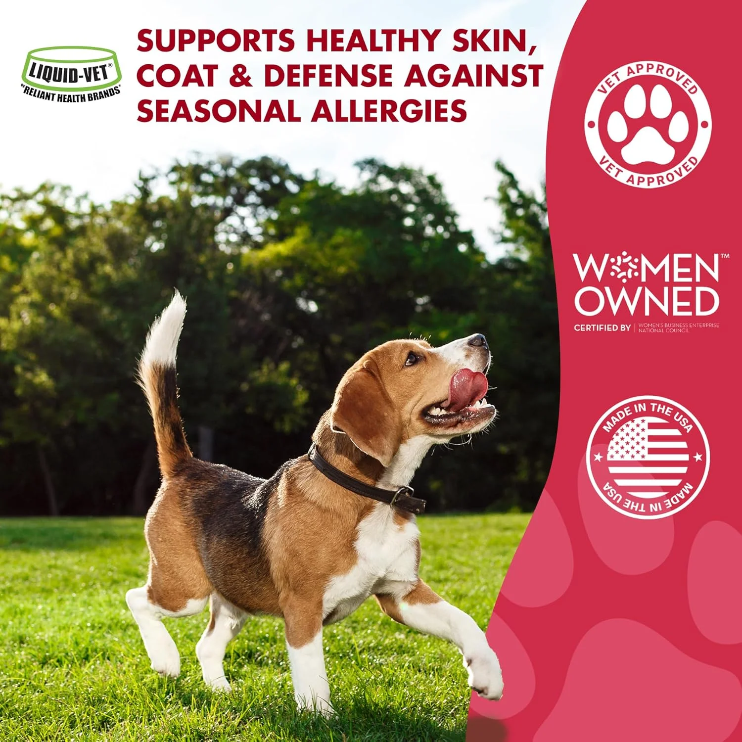 Liquid-Vet by COOL PET Holistics K9 Itch & Allergy Advanced Formula, Chicken Flavor, 32 oz