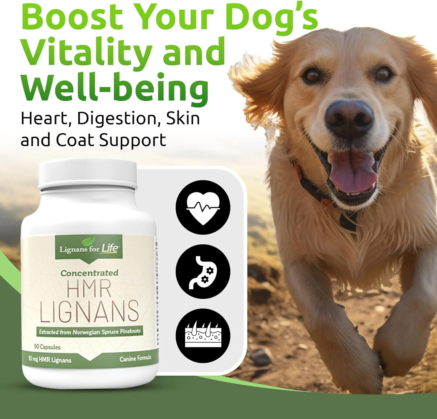 کپسول های لیگنان HMR با برند Lignans For Life، 10 میلی گرم - ایده آل برای نژادهای کوچک سگ