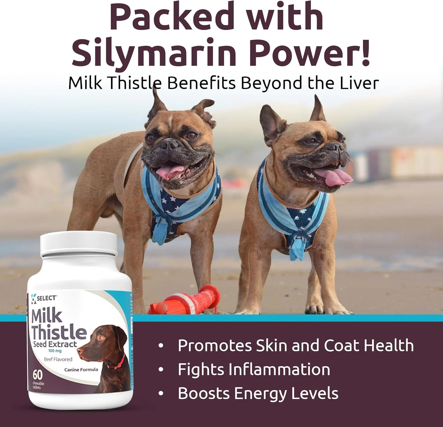 قرص خار مریم K9 Select برای سگ ها، 100 میلی گرم - 60 عدد قرص با طعم گوشت گاو - مکمل طبیعی خار مریم برای سلامت کبد سگ