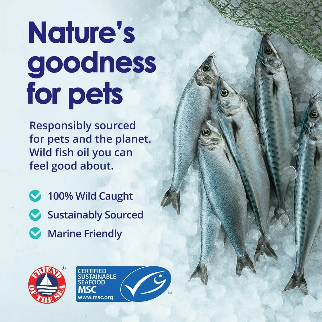 روغن ماهی امگا 3 خالص برای سگ ها، صید وحشی از ایسلند، مکمل پوست و مو برای ریزش مو، پوست خشک و خارش دار و آلرژی، غنی از EPA + DHA با اسیدهای چرب امگا 3، 6 و 9، 1000 میلی گرم، 180 کپسول