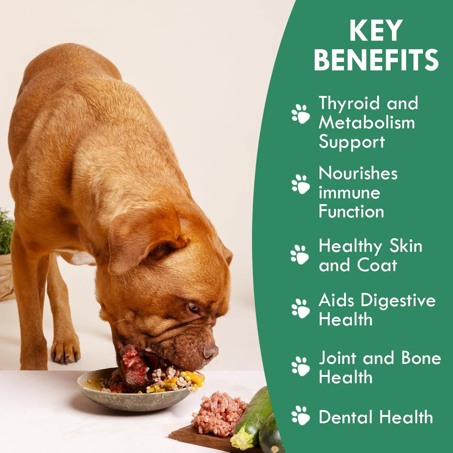 ترکیب جلبک دریایی ارگانیک سگ هولیستیک بین - وگانیک، خشک شده در آفتاب، منبع غنی ویتامین ها و مواد معدنی طبیعی برای سلامتی + نشاط