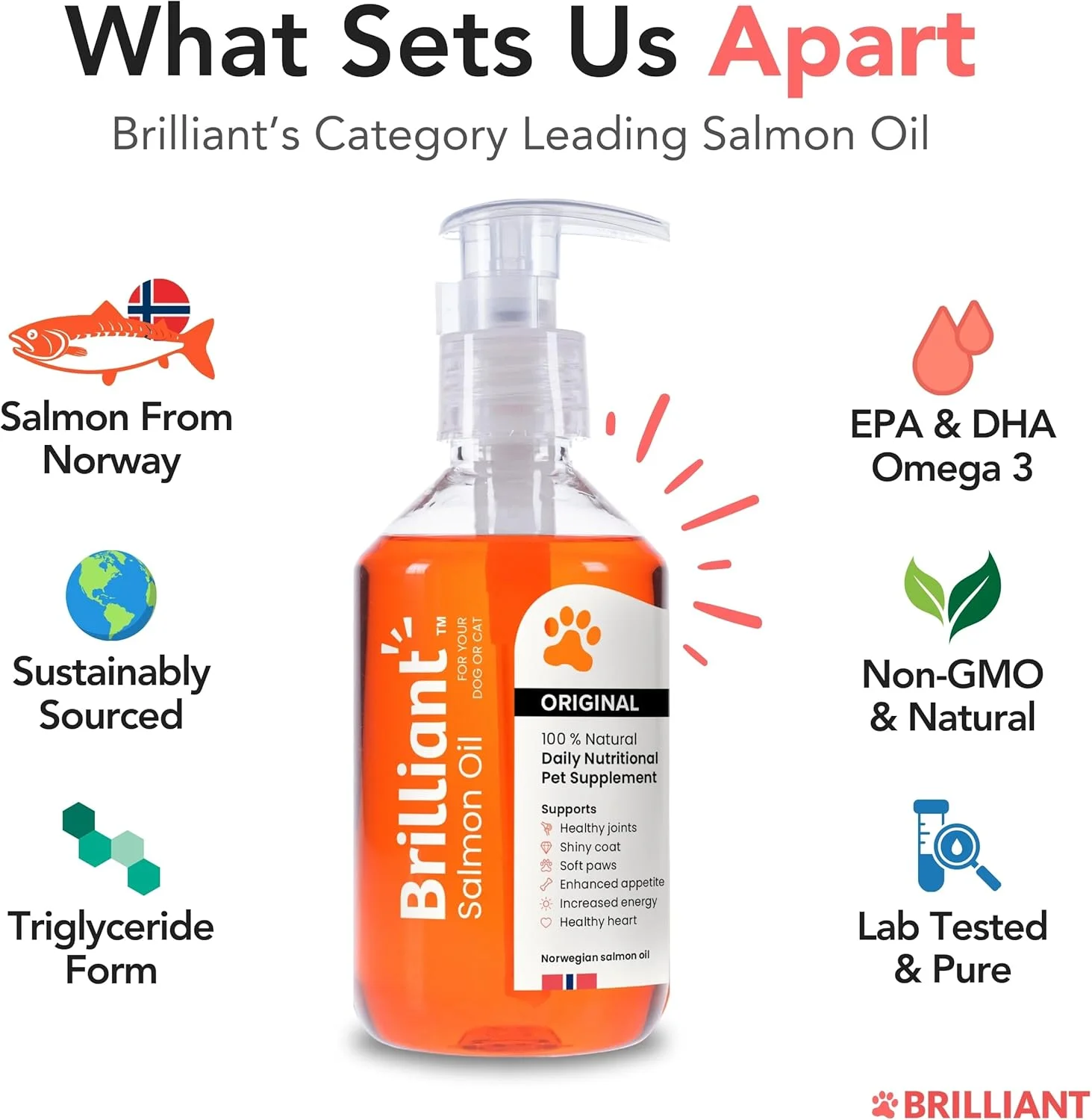 روغن سالمون درخشان Hofseth Biocare برای سگ، گربه، توله سگ، اسب، راسو و حیوانات خانگی - مکمل غذایی روغن ماهی امگا 3، 6 و 9 خالص | درمان خارش پوست، مراقبت از مفاصل، سلامت قلب و پوشش طبیعی (1 لیتر)