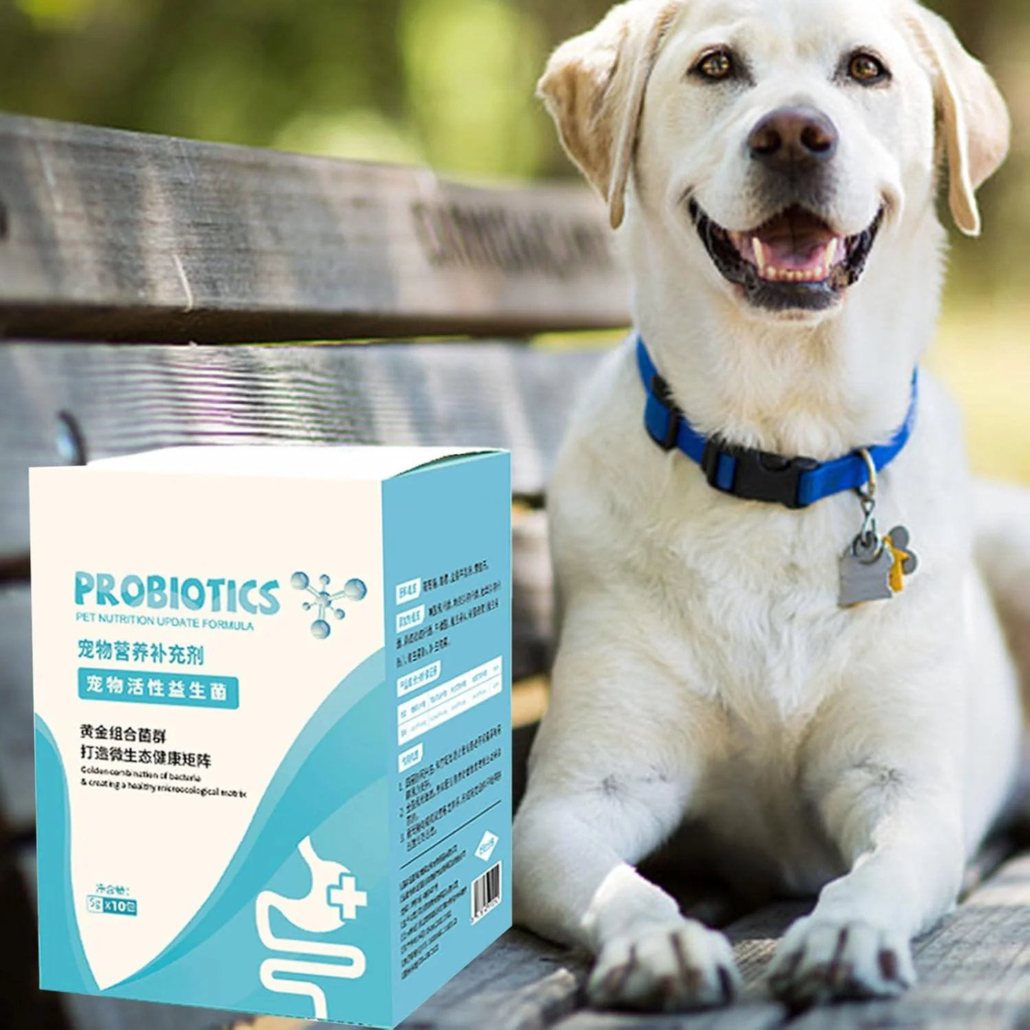 پودر گوارشی روده برای سگ ها - مکمل حمایت از سیستم ایمنی | مکمل طبیعی سلامت معده و گوارش، لوازم حیوانات خانگی برای مراقبت روزانه