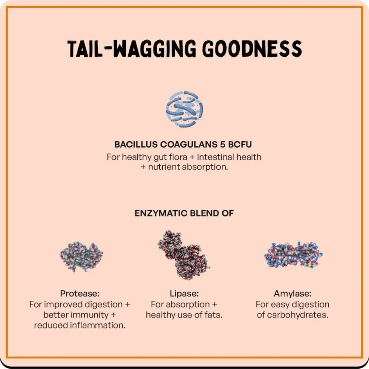 مکمل سلامت روده Furlicks برای سگ ها و گربه ها | پروبیوتیک ها، پروتئاز، لیپاز برای بهبود هضم، افزایش ایمنی، فلور روده سالم و حمایت از اسهال و روده (30 نوار خوراکی حل شونده)