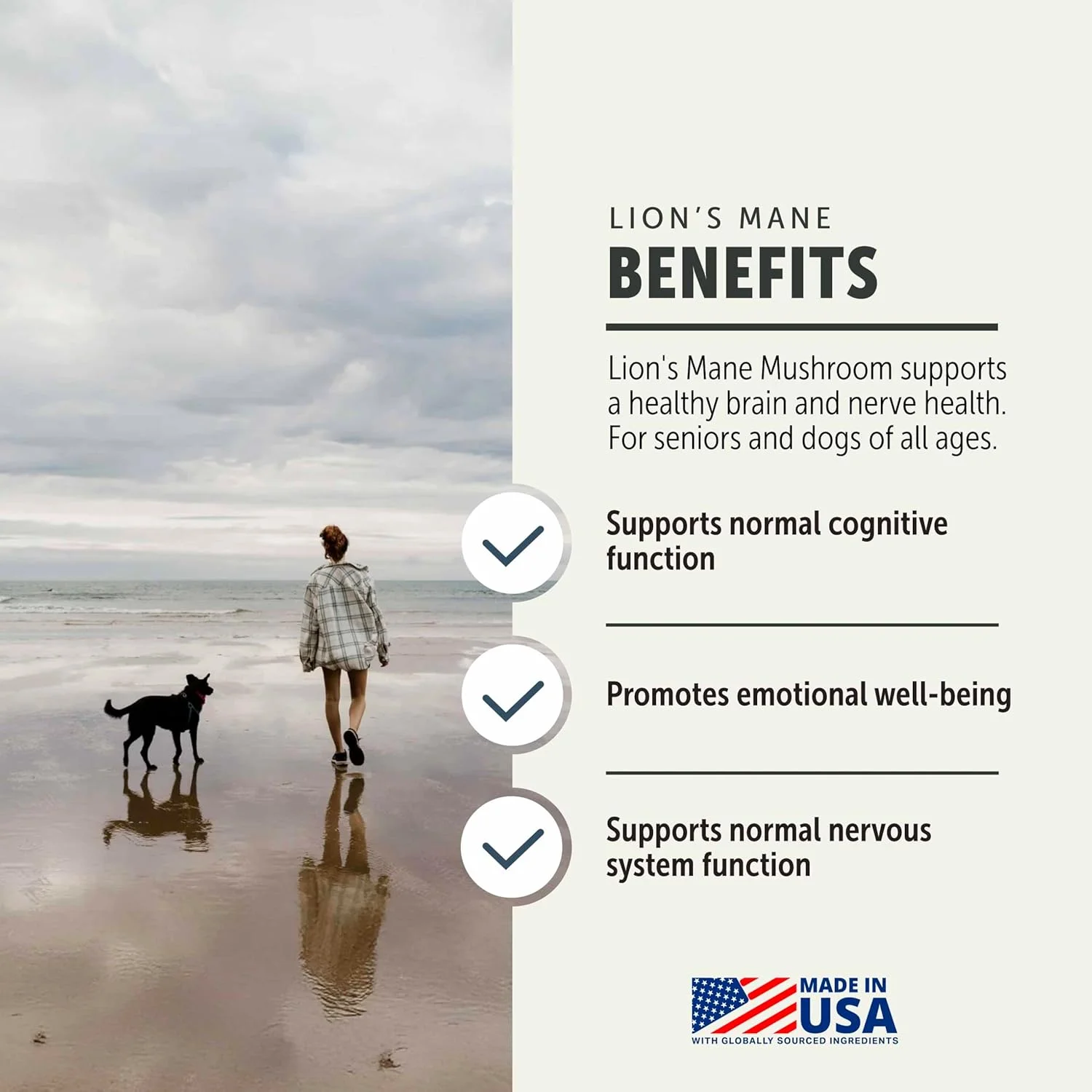 فور لیف روور - قارچ یال شیر برای سگ ها - پشتیبانی از سلامت مغز و سیستم عصبی در سگ ها در تمام سنین - قارچ کامل ارگانیک - تست شده توسط شخص ثالث - تامین 60 روزه برای سگ های بزرگ