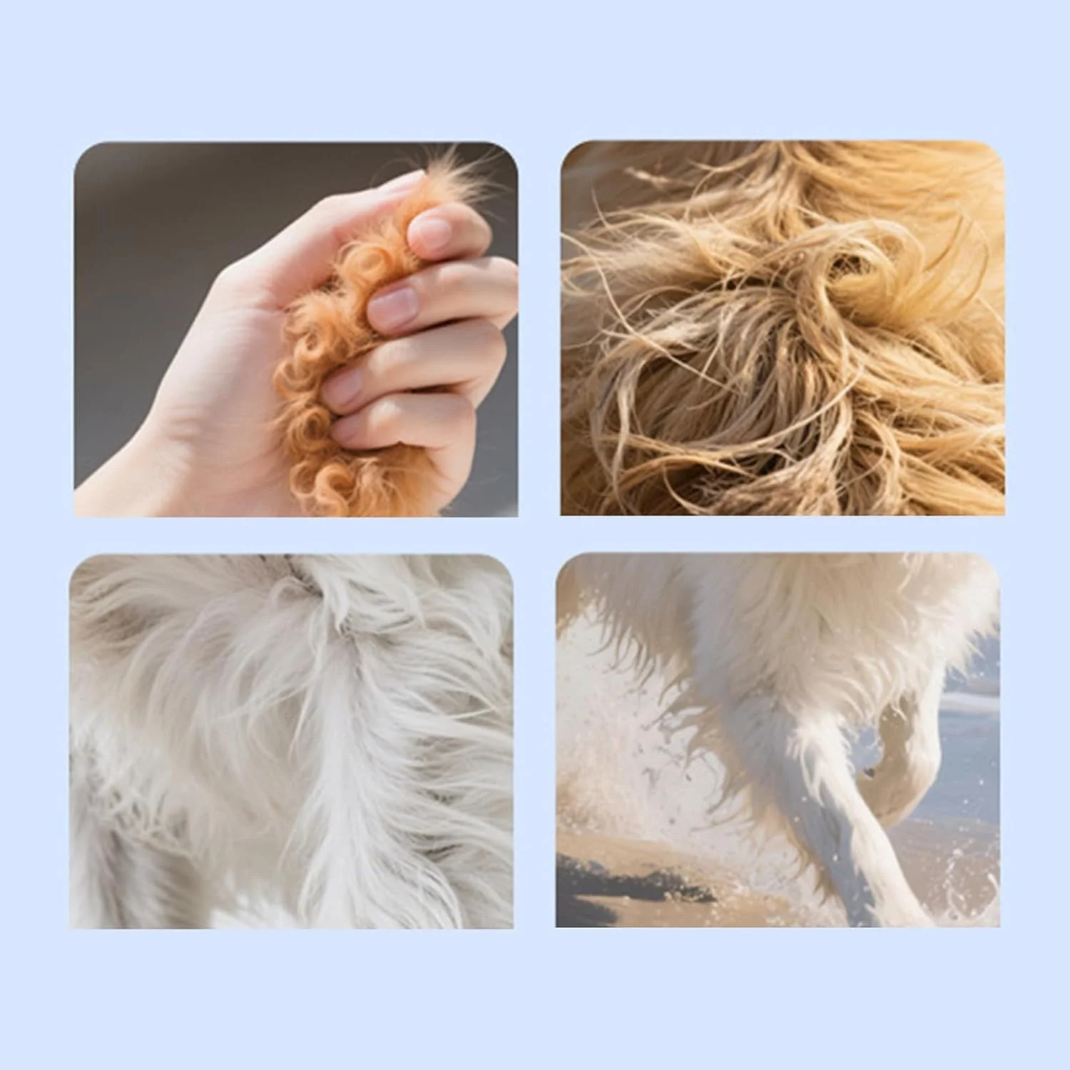 روغن ماهی برای حیوانات خانگی - روغن ماهی برای پوست و موی سگ | مکمل غذایی برای حیوانات خانگی، تقویت کننده غذا برای حمایت از مفاصل خشک، کاهش خارش و ریزش مو، سلامت پنجه ها