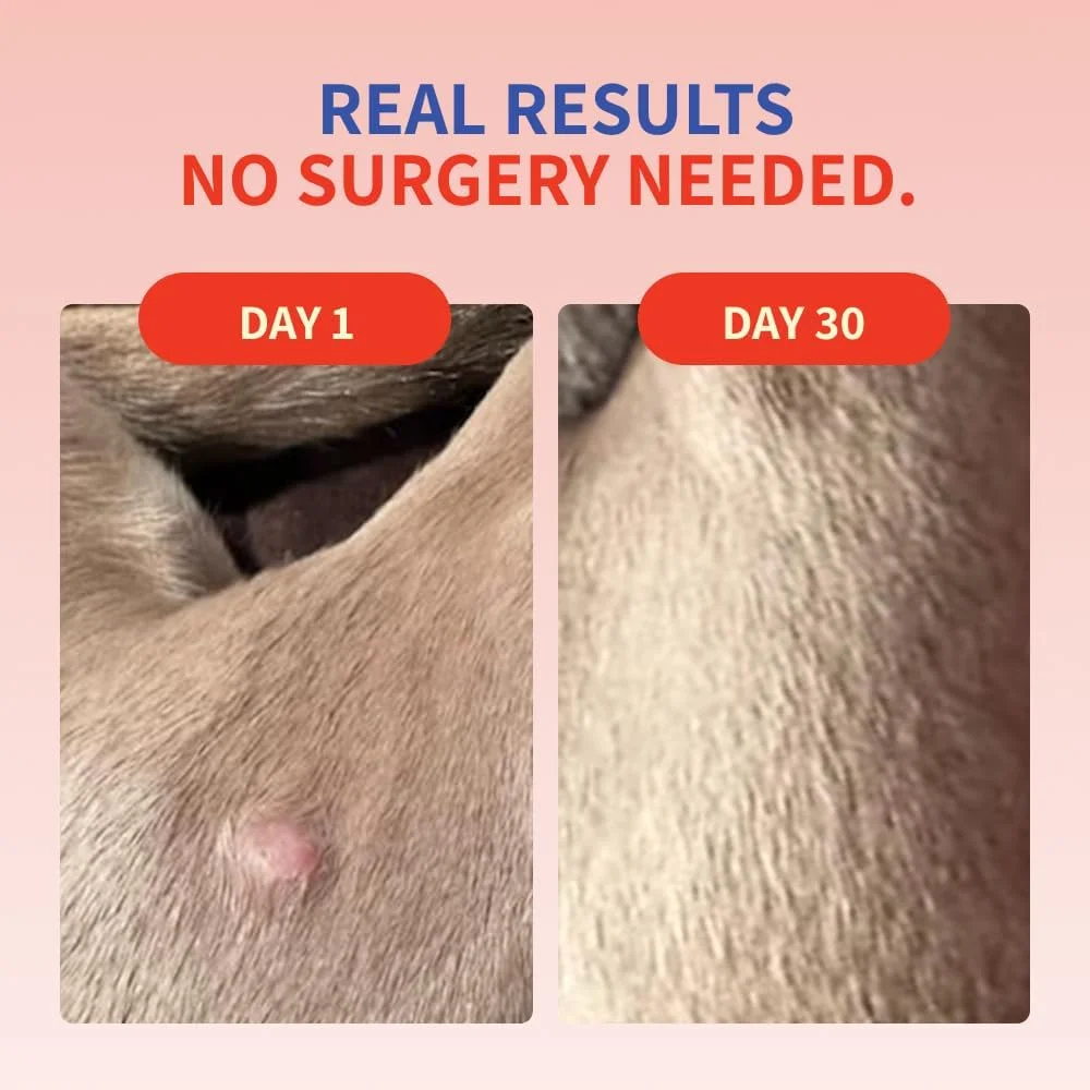 پودر قارچ دم بوقلمون Fifth & Fido برای سگ ها - مکمل پروبیوتیک طبیعی - سلامت دستگاه گوارش و تقویت سیستم ایمنی سگ - طعم بیکن