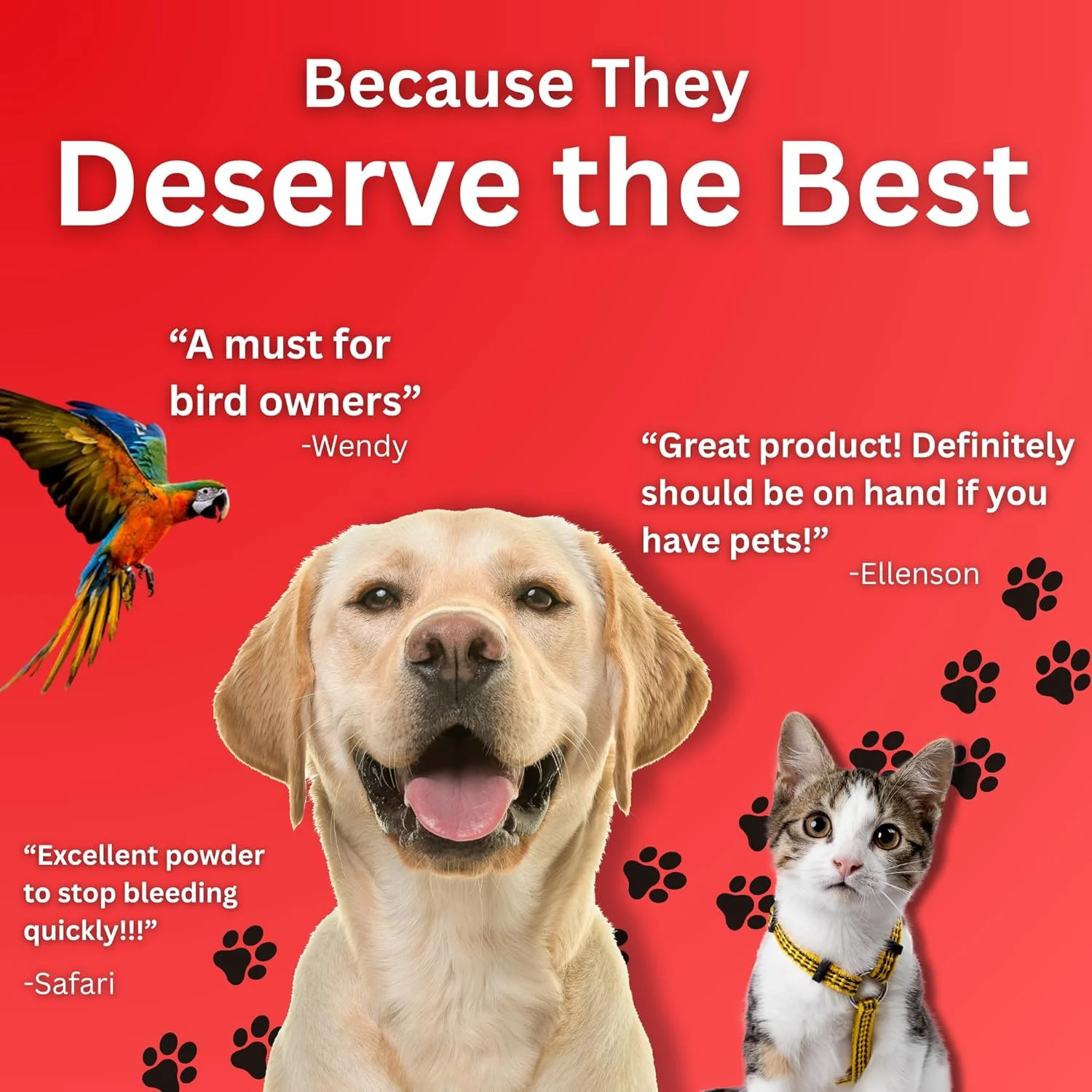 پودر بندآورنده خون Evo Dyne برای سگ، گربه و پرندگان (56 گرم) | پودر بندآورنده خون سریع برای حیوانات خانگی | پودر بندآورنده خون سریع برای کوتاه کردن ناخن سگ، آرایش، بریدگی و موارد دیگر (1 بسته)