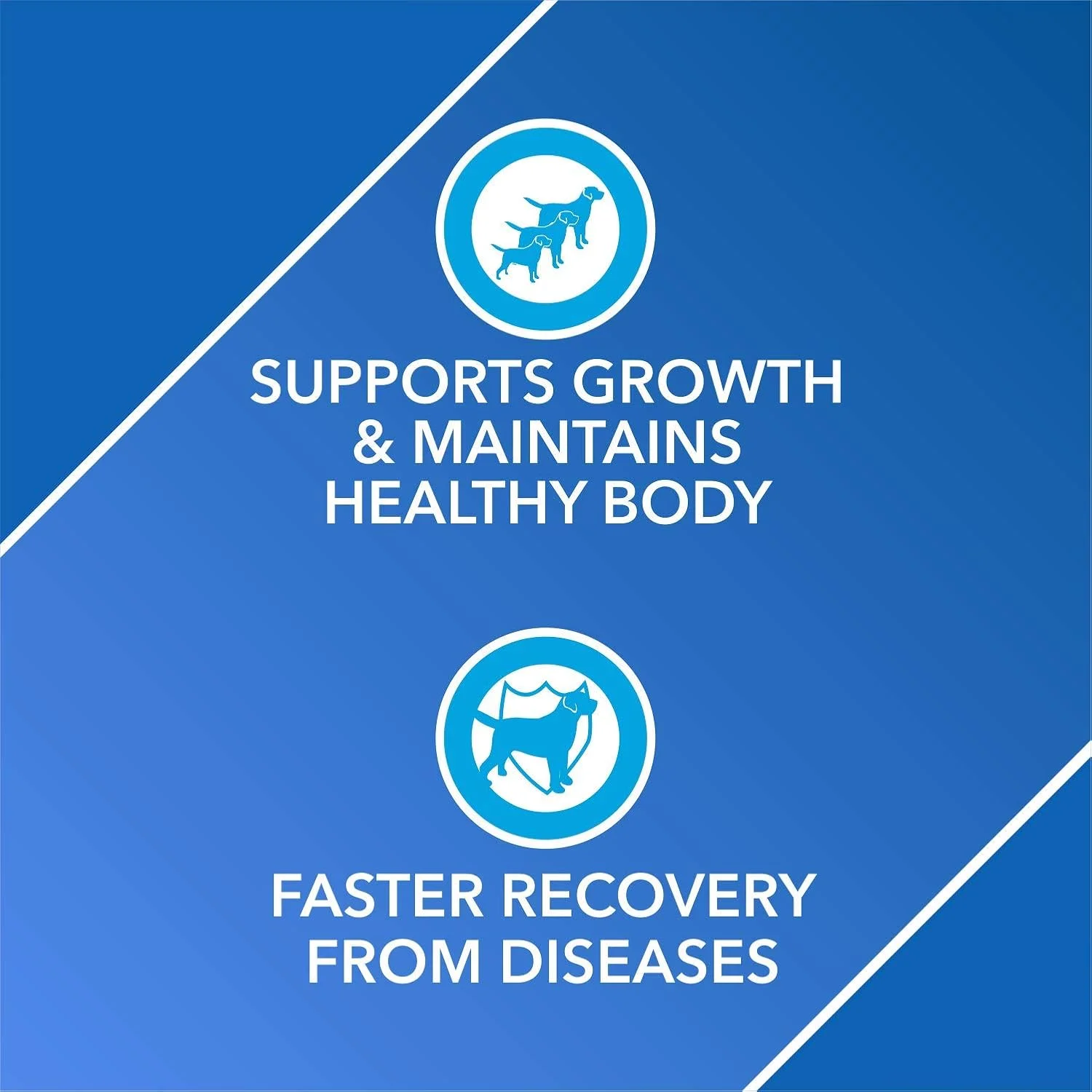 قرص مکمل سگ Drools Absolute، طعم ویتامین، 400 گرم، بسته 110 عددی