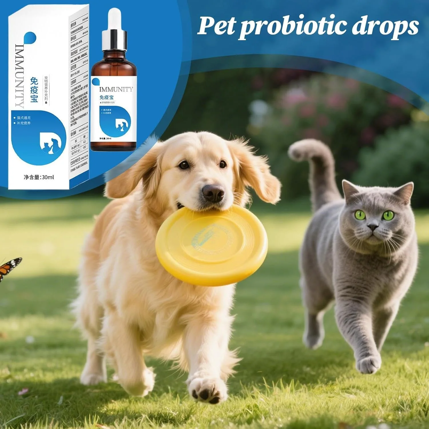Dog Supplements for Digestion - 30ml Natural Nutrition Product for Cats | Natural Nutrition Drops for Gastrointestinal Health Breeders Adopters Veterinarian Clinics Dog Puppy Kitten Daily Routine