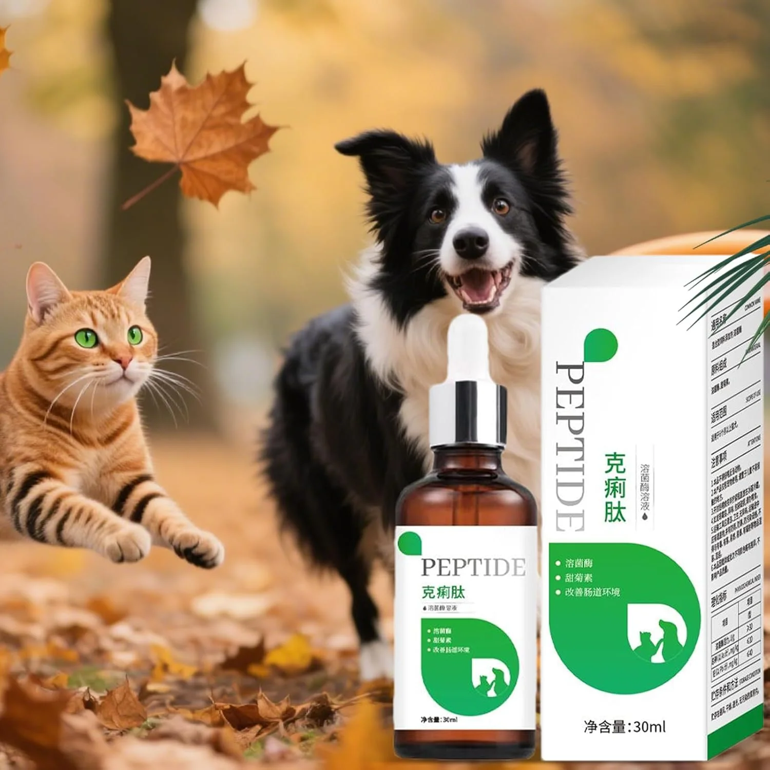 مکمل های گوارش سگ | محصول تغذیه طبیعی 30 میلی لیتری برای گربه ها - مکمل های پشتیبانی کننده دستگاه گوارش برای توله سگ، بچه گربه، دوستداران حیوانات، روتین روزانه، بازدیدکنندگان کلینیک خانگی، بیمارستان دامپزشکی، پرورش دهندگان