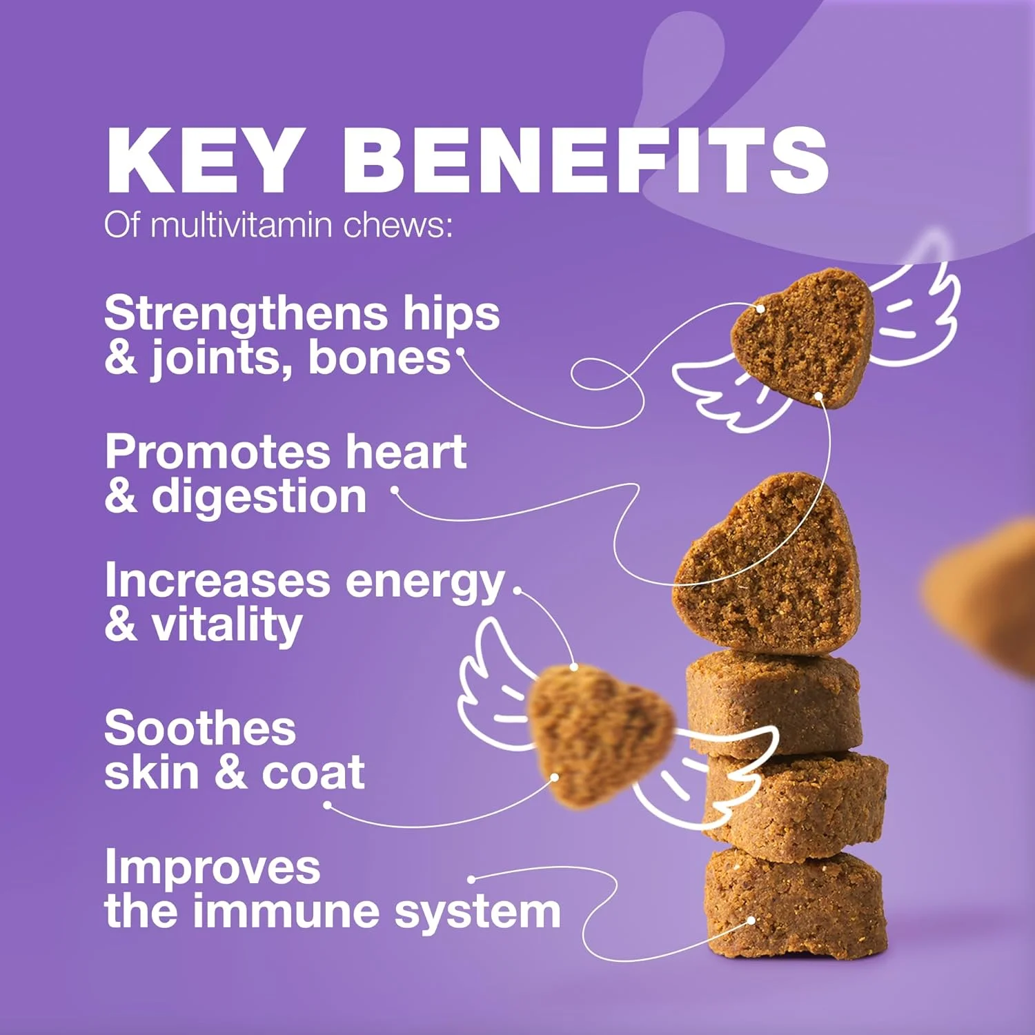 ویتامین های سگ 15 در 1 - قرص های جویدنی مولتی ویتامین سگ با MSM برای سلامت مفاصل و لگن - مکمل سگ برای تسکین خارش پوست - مولتی ویتامین برای تقویت سیستم ایمنی سگ با آنزیم ها - پشتیبانی از پوست و مو، تحرک