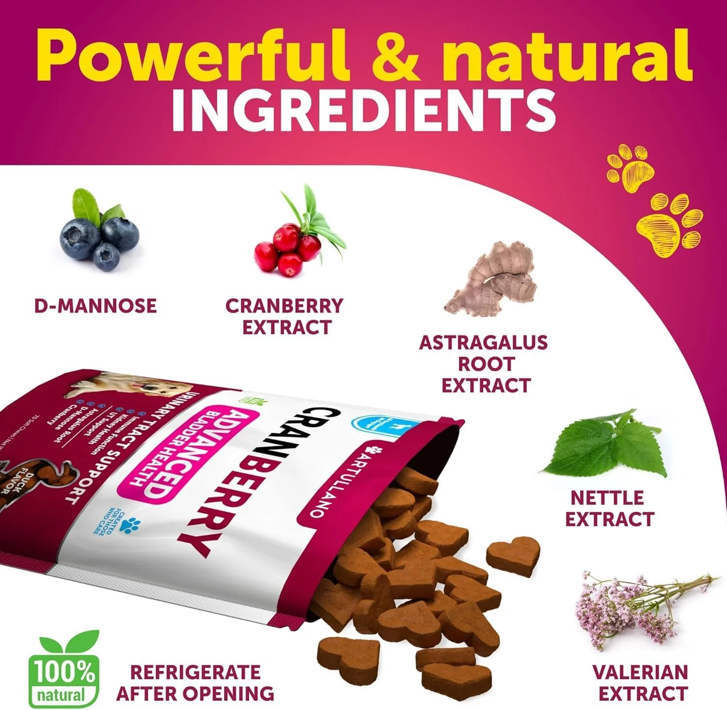 درمان عفونت ادراری سگ - مکمل کرن بری و کنترل مثانه برای سگ ها - قرص بی اختیاری عفونت دستگاه ادراری، سنگ مثانه - داروی عفونت ادراری - 70 عدد جویدنی نرم برای حمایت از کلیه با روغن ماهی