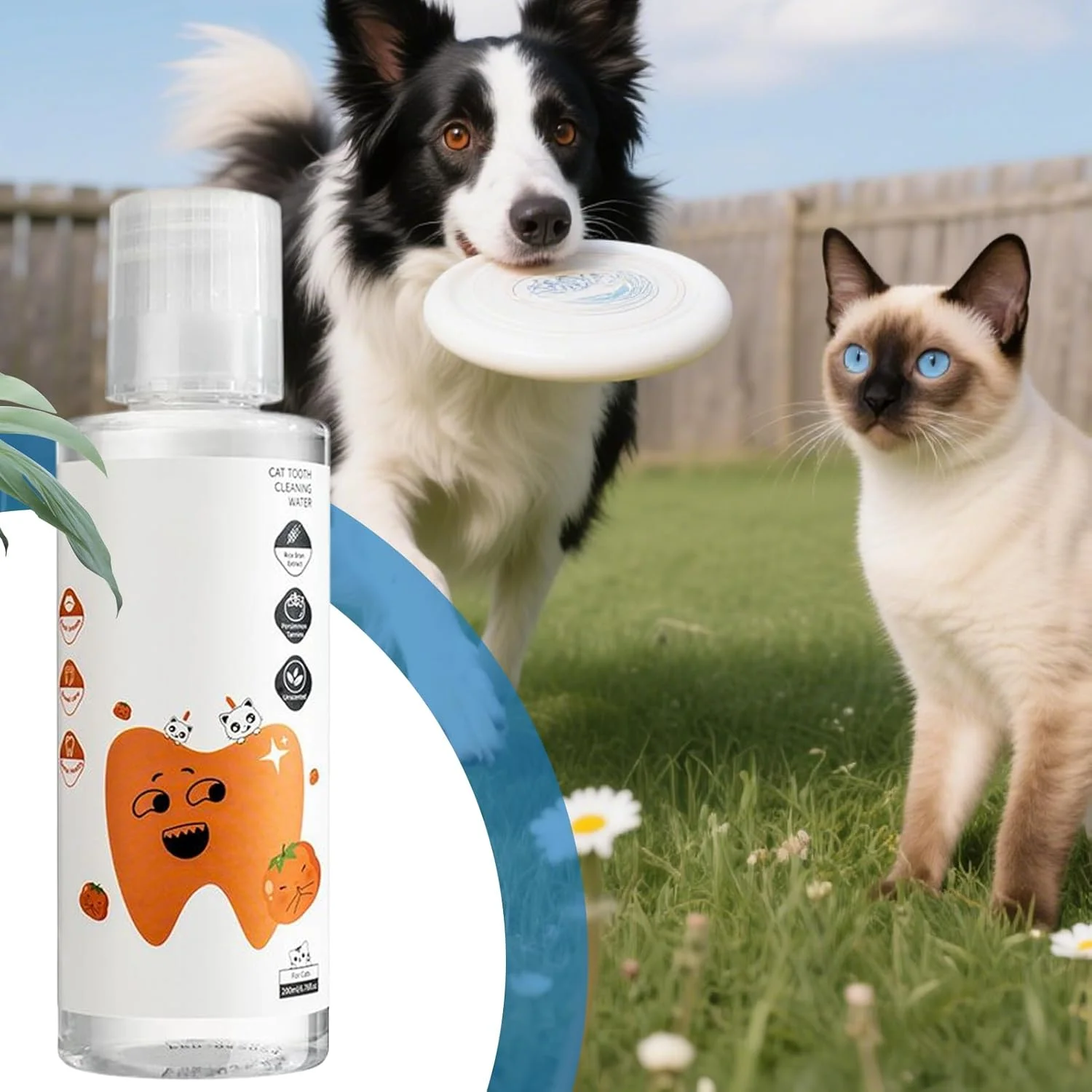 محلول افزودنی آب سگ برای مراقبت از دندان - 200 میلی لیتر طبیعی و سالم | محلول دهانشویه سگ | برای استفاده در منزل، مسافرت، شستشو و بهداشت