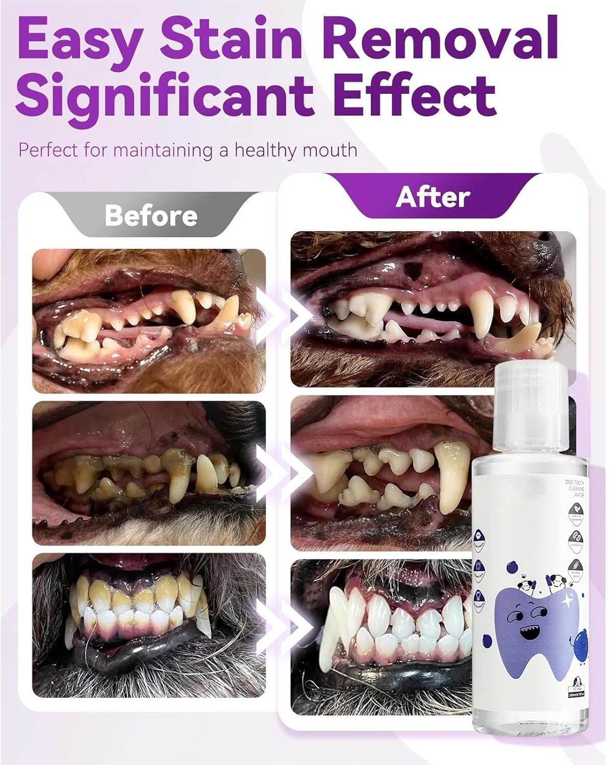 محلول افزودنی آب سگ - مایع طبیعی 200 میلی لیتری، محلول خوشبو کننده دهان گربه | برای مسافرت های داخلی و خارجی، نظافت و بهداشت توله سگ
