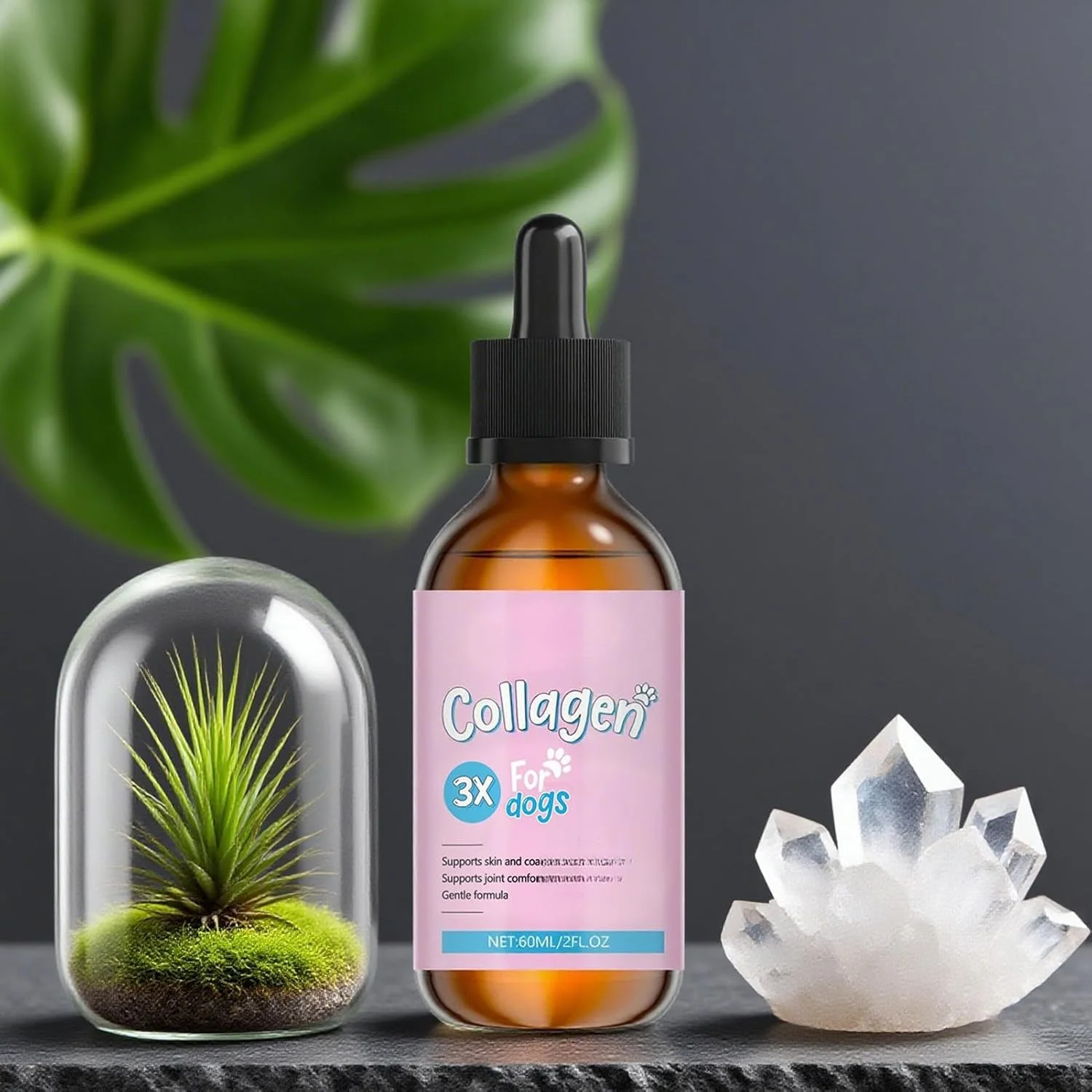 مکمل های سگ - قطره های رژیمی 60 میلی لیتری | مراقبت از استخوان، حمایت از پوست و پوشش مو برای سگ های مسن، دوره عصر، مصرف صبحگاهی، روال روزانه، خانه، مسافرت، بعد از غذا