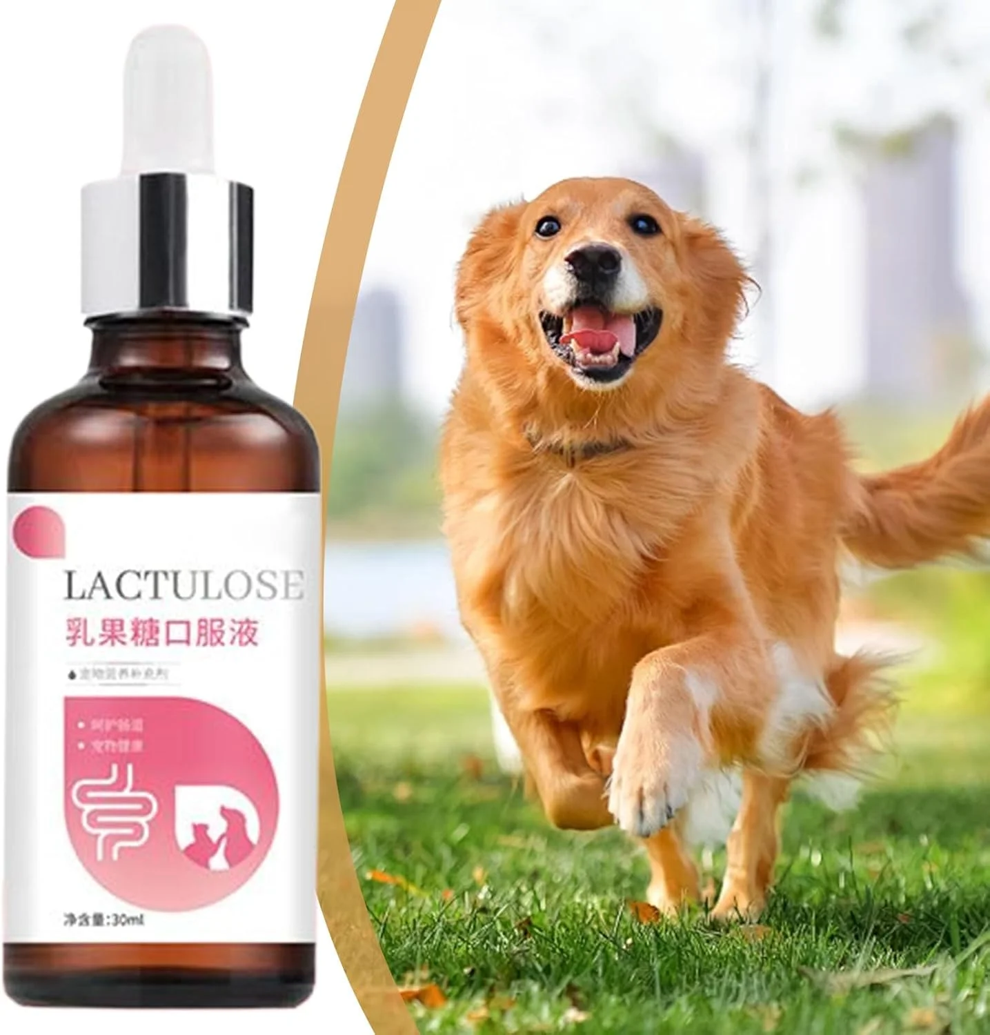 مکمل های سگ | مکمل غذایی 30 میلی لیتر - قطره های روغن ملایم برای سلامتی، هضم ایمن، مراقبت از جذب برای بچه گربه، توله سگ، مسافرت، مراقبت روزانه