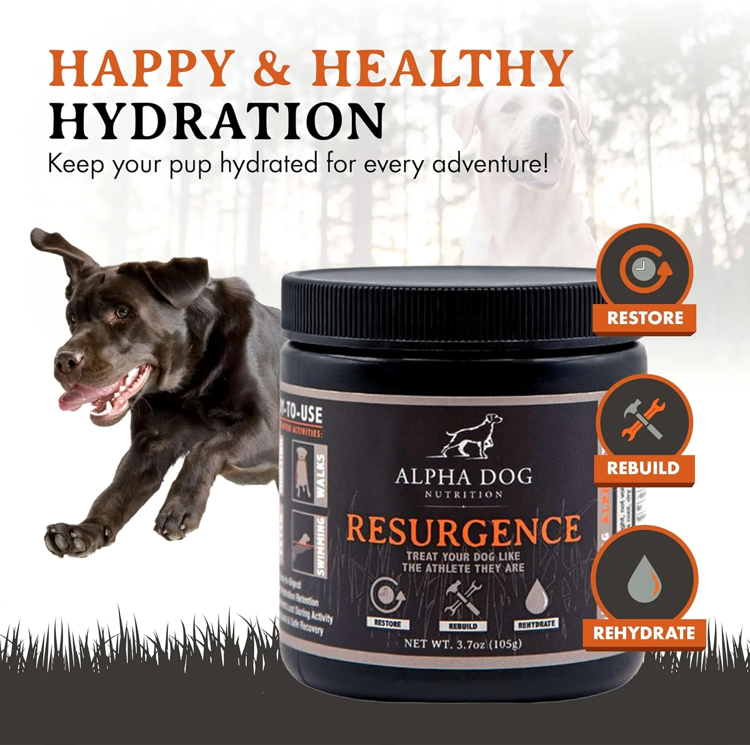 الکترولیت های سگ Resurgence از Alpha Dog Nutrition | تقویت آبرسانی سگ، افزایش استقامت و بهبود ریکاوری | افزودنی الکترولیتی به آب یا تاپینگ غذا برای جلوگیری از کم آبی با طعم گوشت گاو