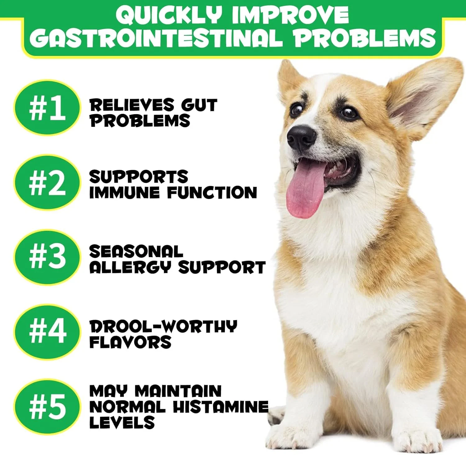 تشویقی های جویدنی پروبیوتیک و پری بیوتیک Oimmal ClickAE برای بهبود گوارش سگ ها، 120 عدد