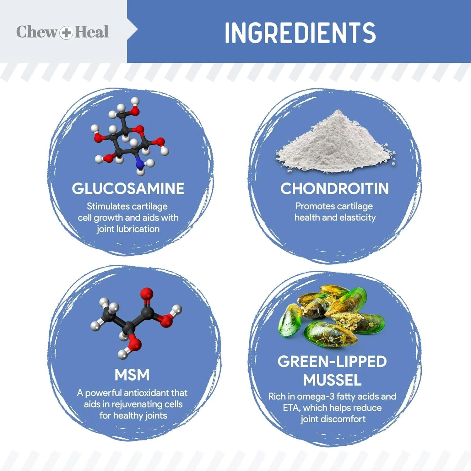 گلوکوزامین مایع Chew + Heal Labs برای سگ ها، مکمل مفصل و لگن - 473 میلی لیتر با طعم بیکن، پشتیبانی پیشرفته از تحرک - ساخته شده با گلوکوزامین، کندرویتین، MSM، زردچوبه و صدف لب سبز