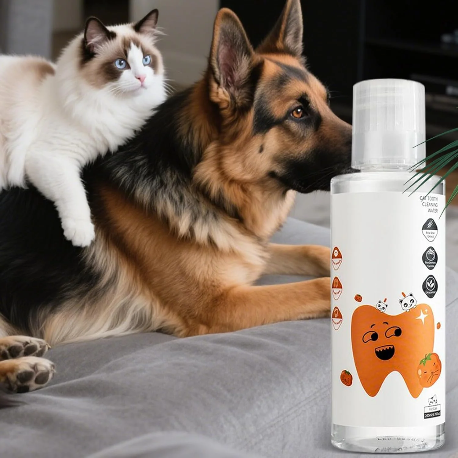 محلول افزودنی آب گربه - 200 میلی لیتر طبیعی و سالم - محلول دهانشویه سگ - برای مسافرت در فضای باز و داخل خانه، مسواک زدن، نظافت، بهداشت، بچه گربه، حمام کردن و شستشو