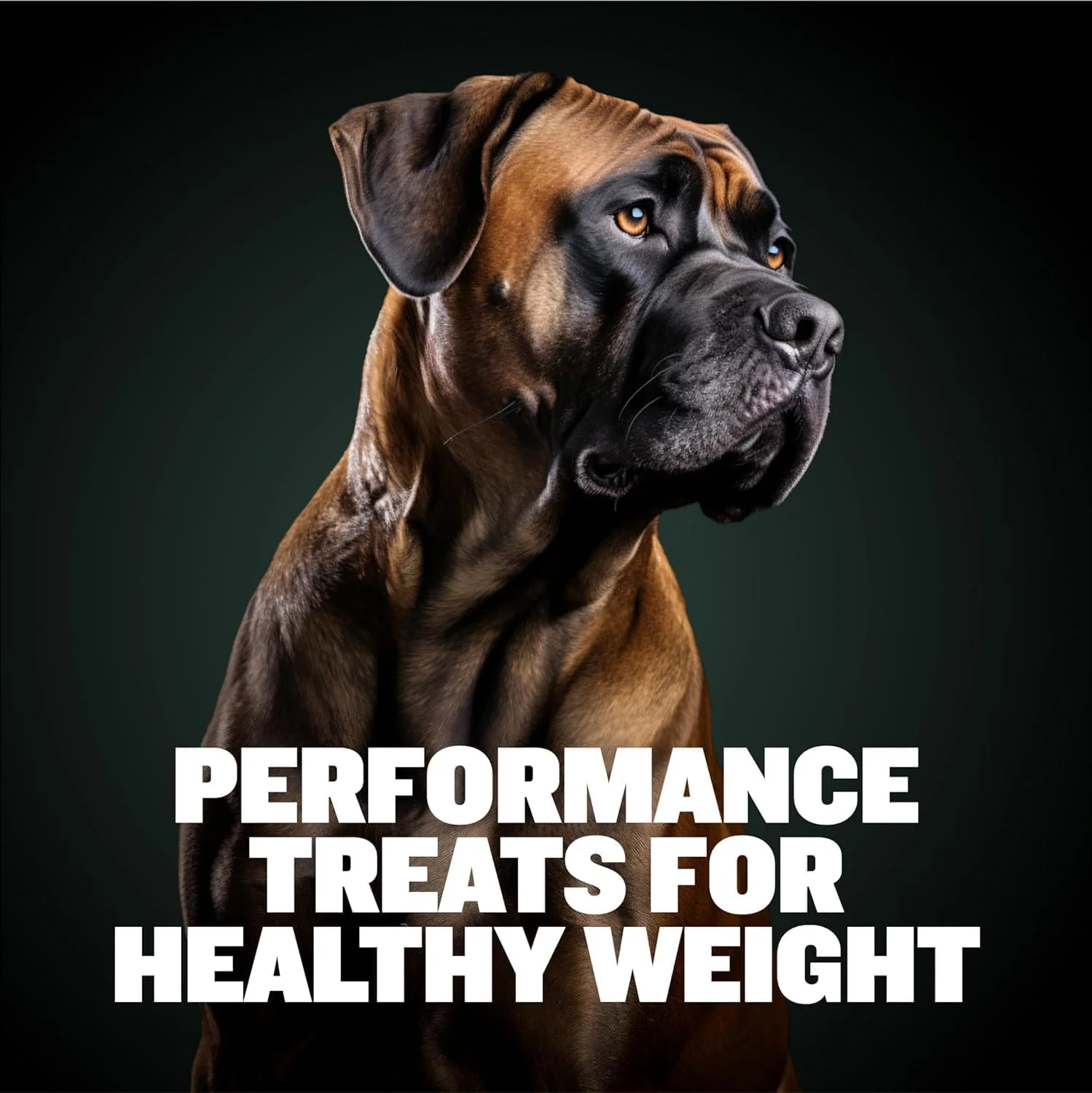 تشویقی افزایش وزن سگ Bully Max مناسب توله سگ و سگ بالغ - مکمل غذایی پر کالری برای افزایش وزن سالم، ایمنی و هضم - 75 عدد تشویقی نرم برای همه نژادها، 2 بسته