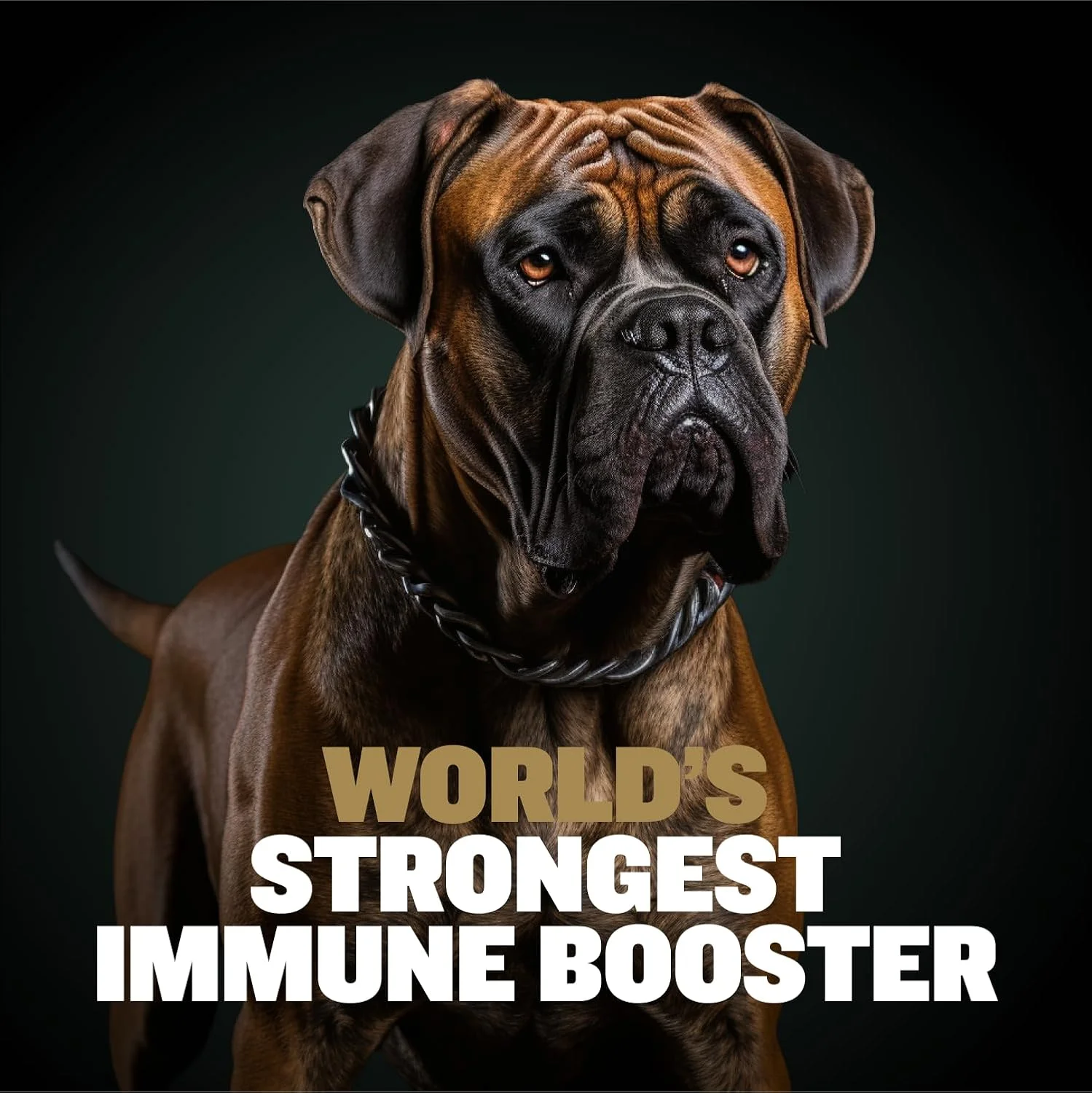 قرص جویدنی افزایش حجم عضلانی سگ Bully Max 11-in-1 - مکمل غذایی پروتئینی برای توله سگ و سگ بالغ | عضله ساز ممتاز برای همه نژادها با مواد طبیعی - 75 عدد قرص جویدنی نرم و خوشمزه برای سگ